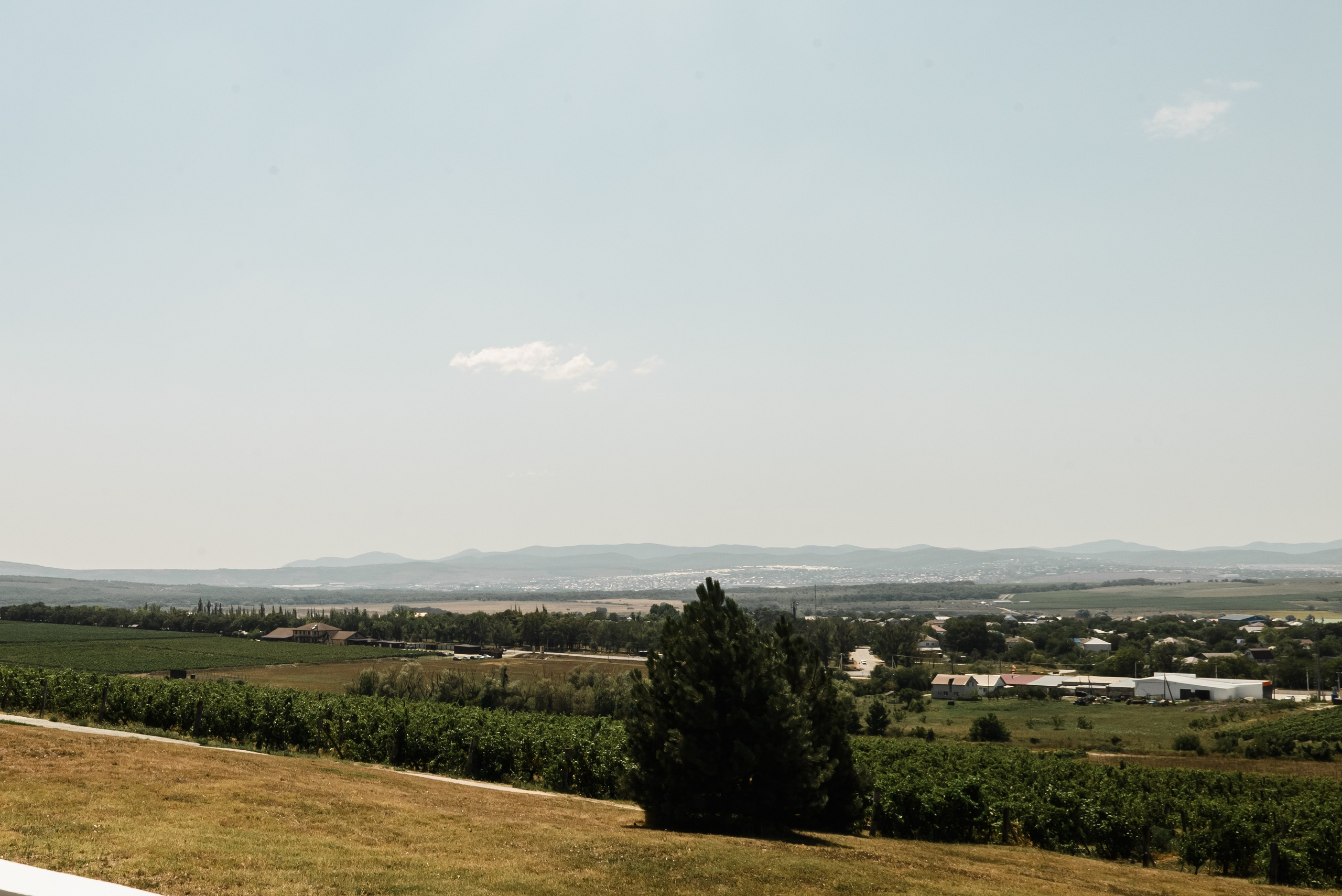 С&М. Свадебный и семейный фотограф в Славянске-на-Кубани Прохорова Алёна