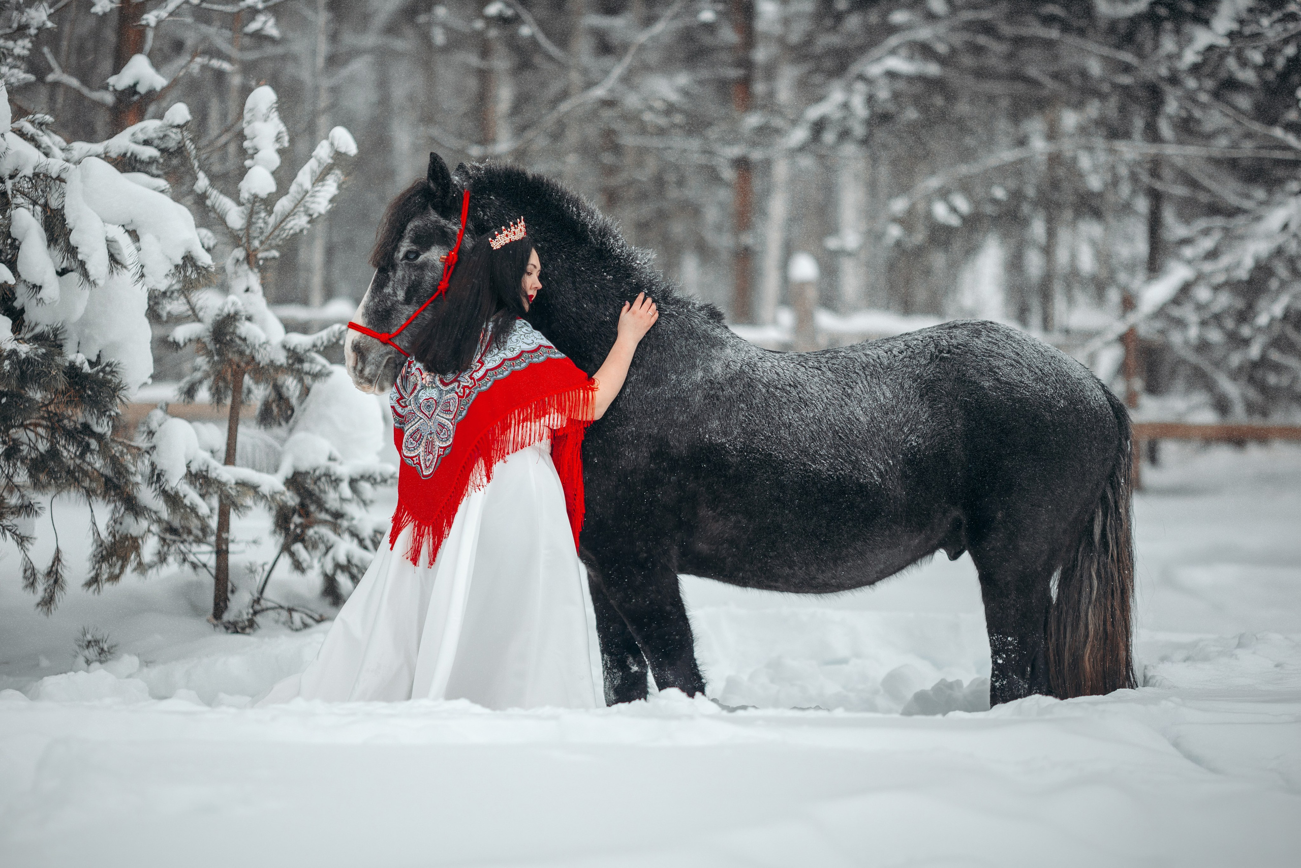 Яблоки на снегу. Анна Молчанова конный фотограф в Тюмени | фотосессии с лошадьми Тюмень