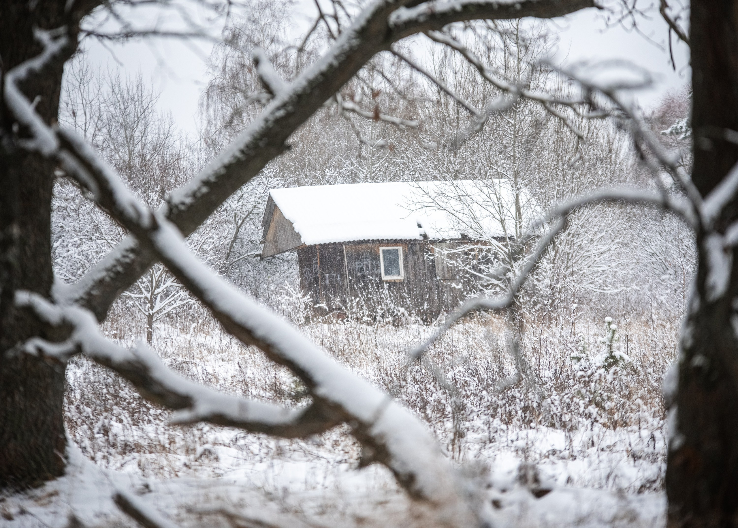 Природа. Съемки в стиле Goblicore и прочая нечисть. Конный фотограф из Москвы Ирина Бондаркова
