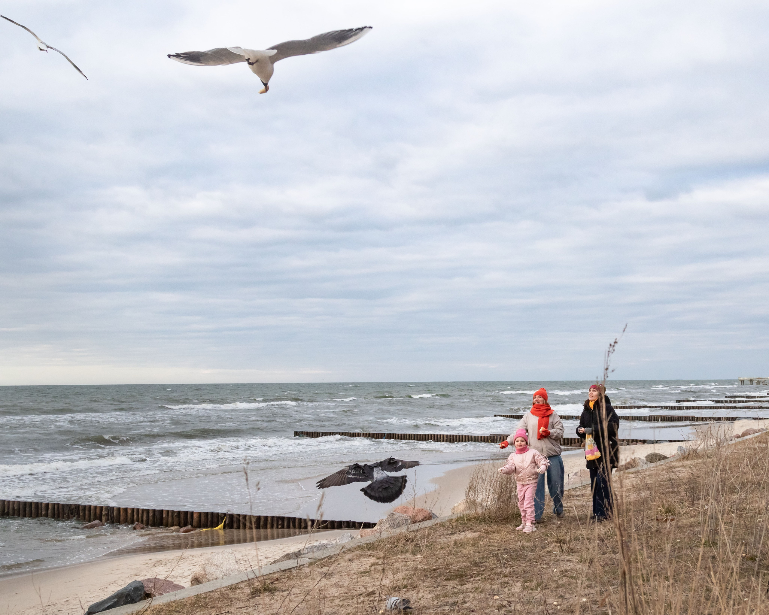 Две сестры и Машенька. Fotografin in Zelenogradsk Liana Sopina