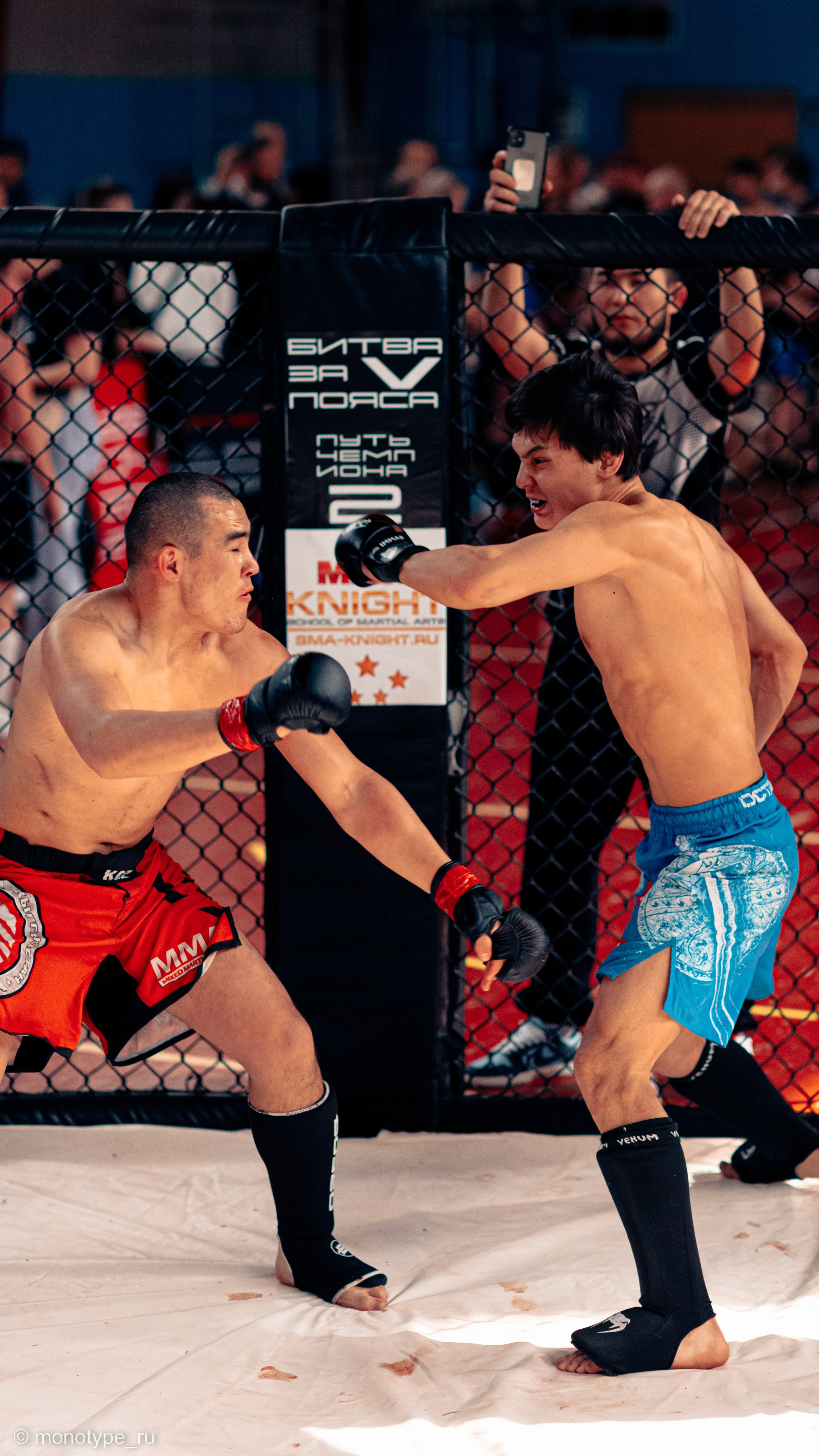 MMA. Бойцовский турнир