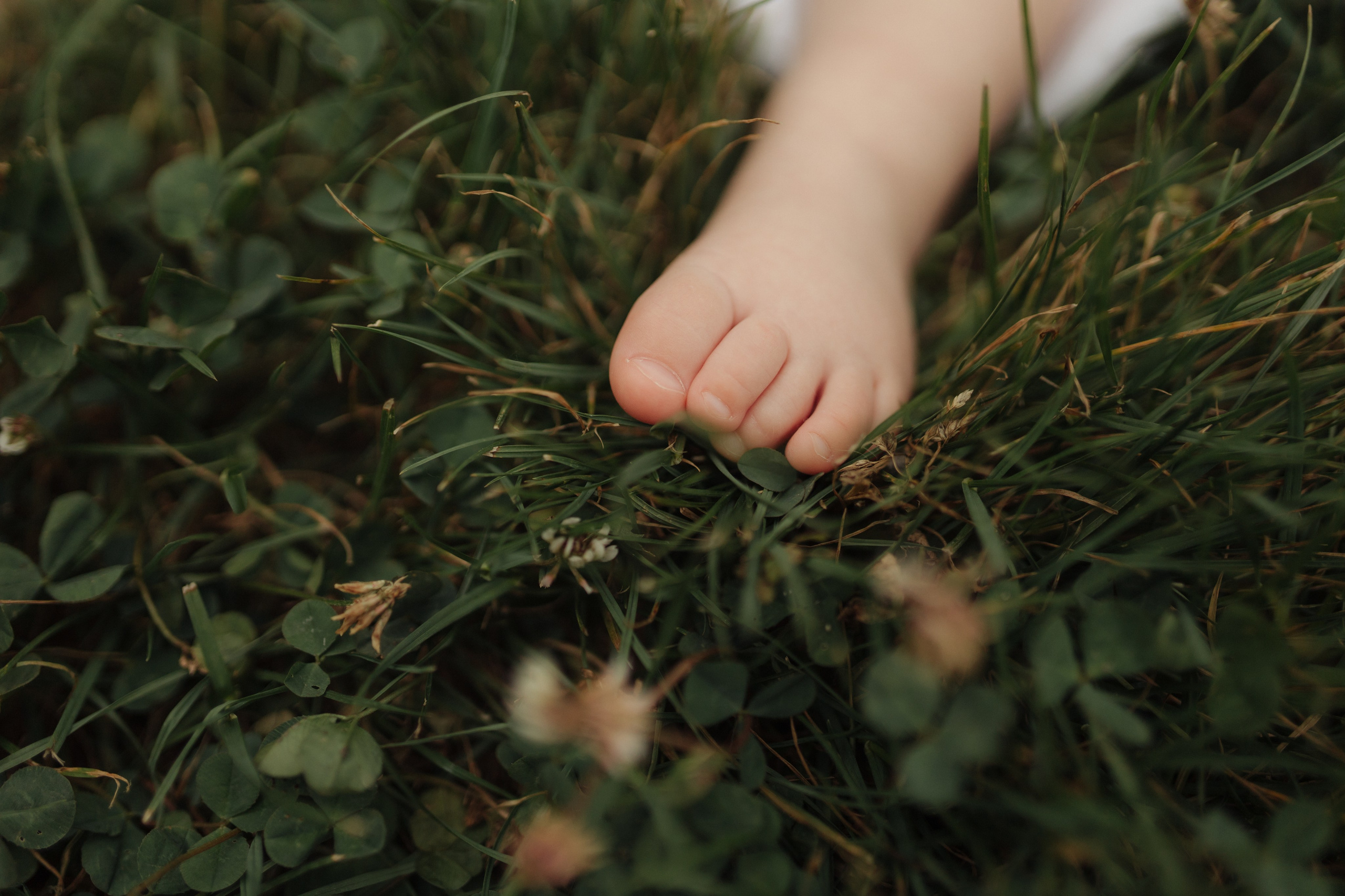 Под летним дождём в Бахчисарае