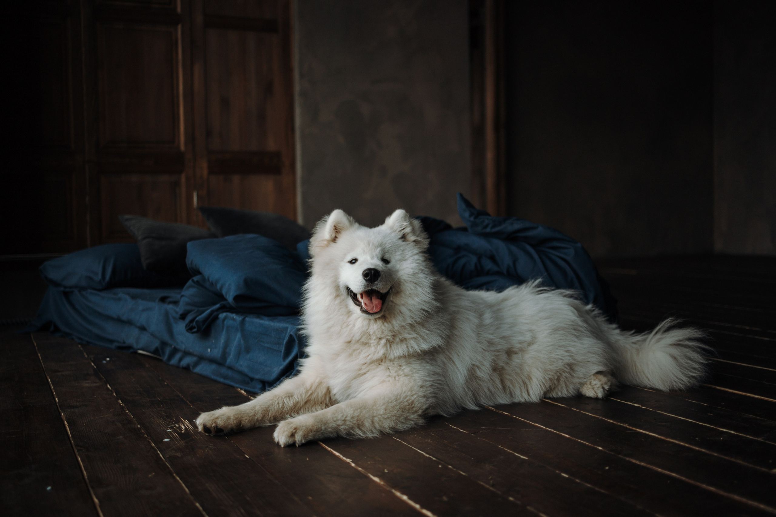 Марина и Мушу. Фотограф — Анималист | Санкт-Петербург