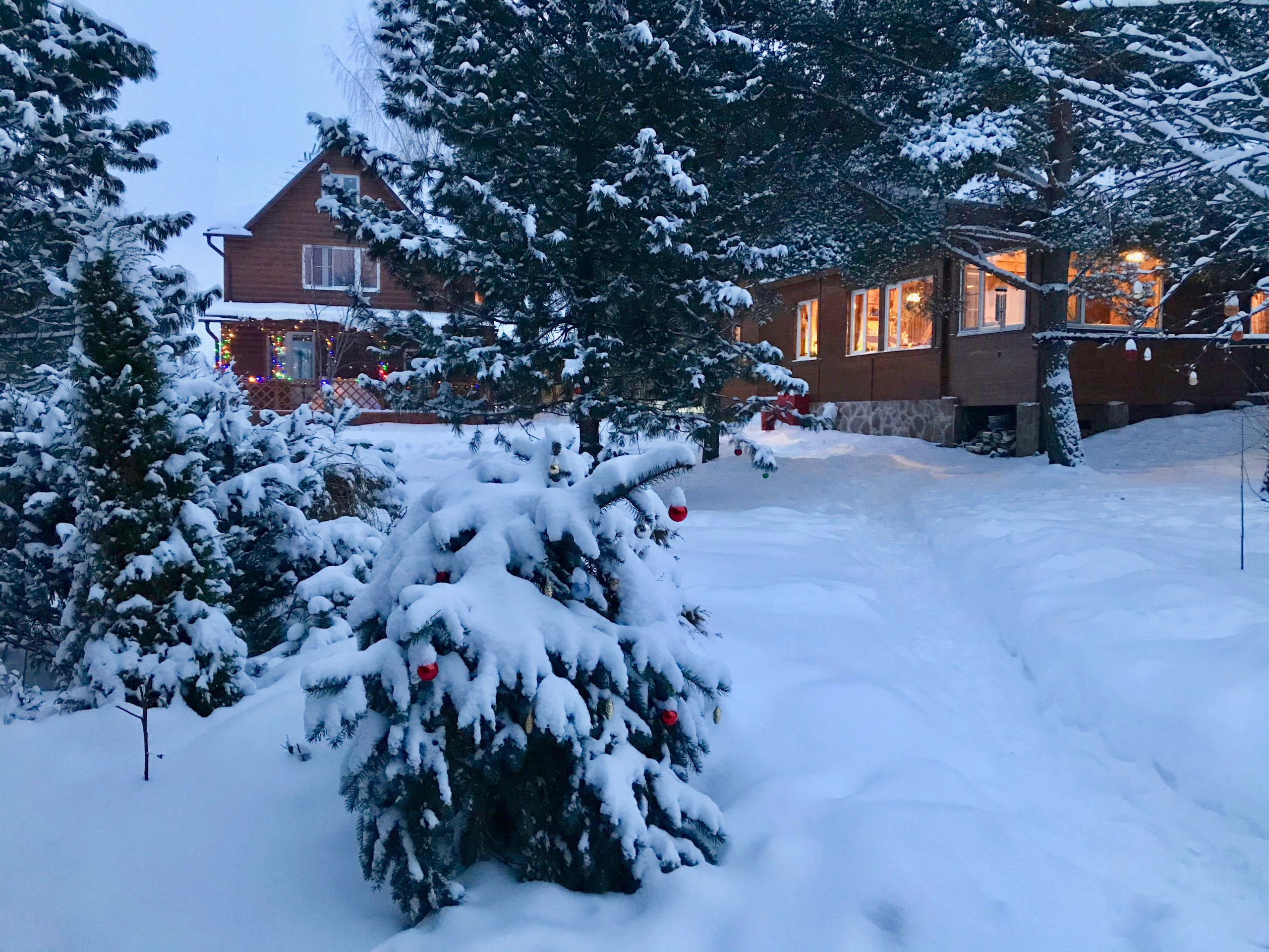 Территория экофермы Марии Гиппенрейтер. Эко отель Подмосковье. Эко отдых в Подмосковье в эко-отеле Марии Гиппенрейтер