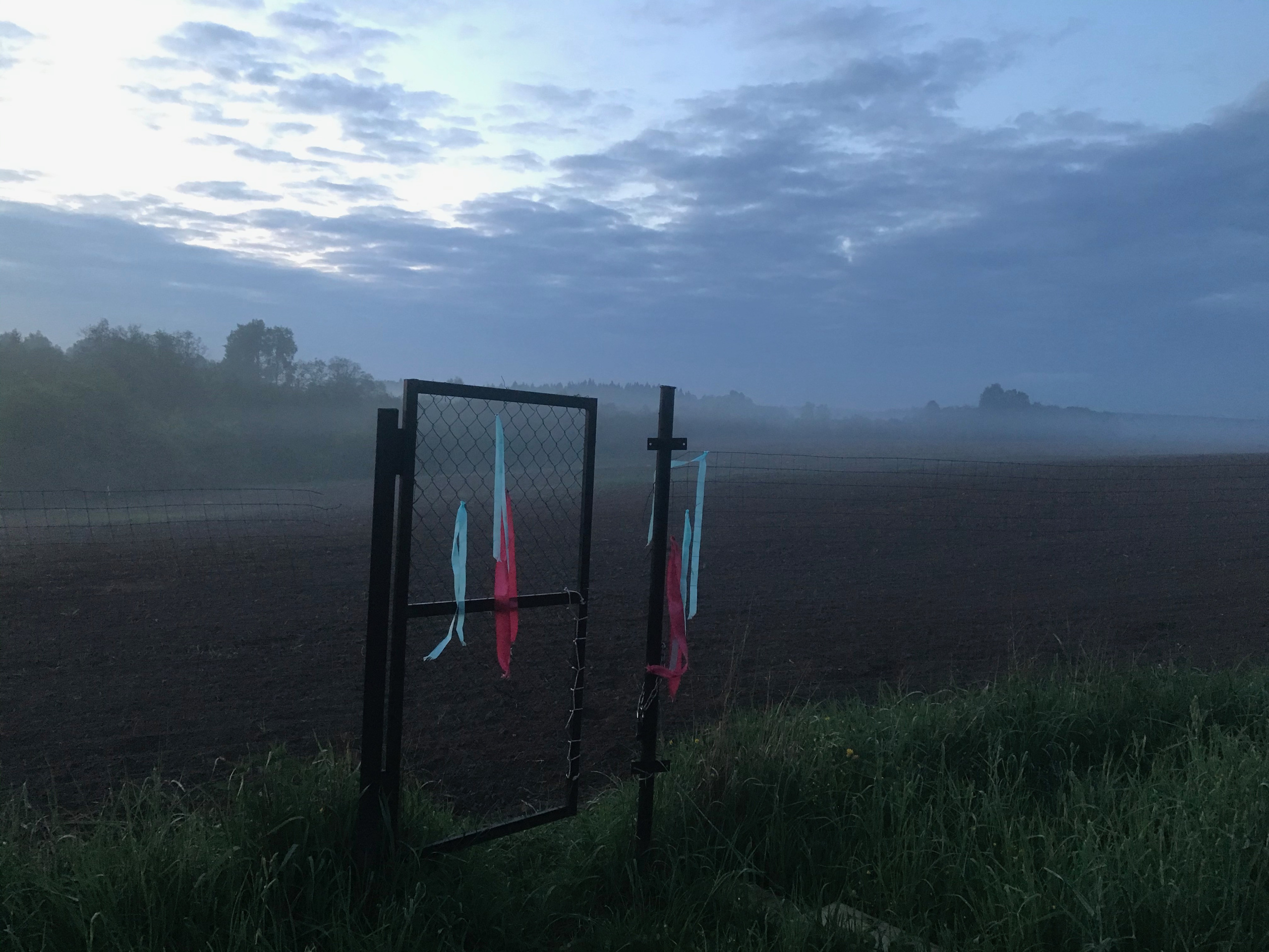Территория экофермы Марии Гиппенрейтер. Эко отель Подмосковье. Эко отдых в Подмосковье в эко-отеле Марии Гиппенрейтер