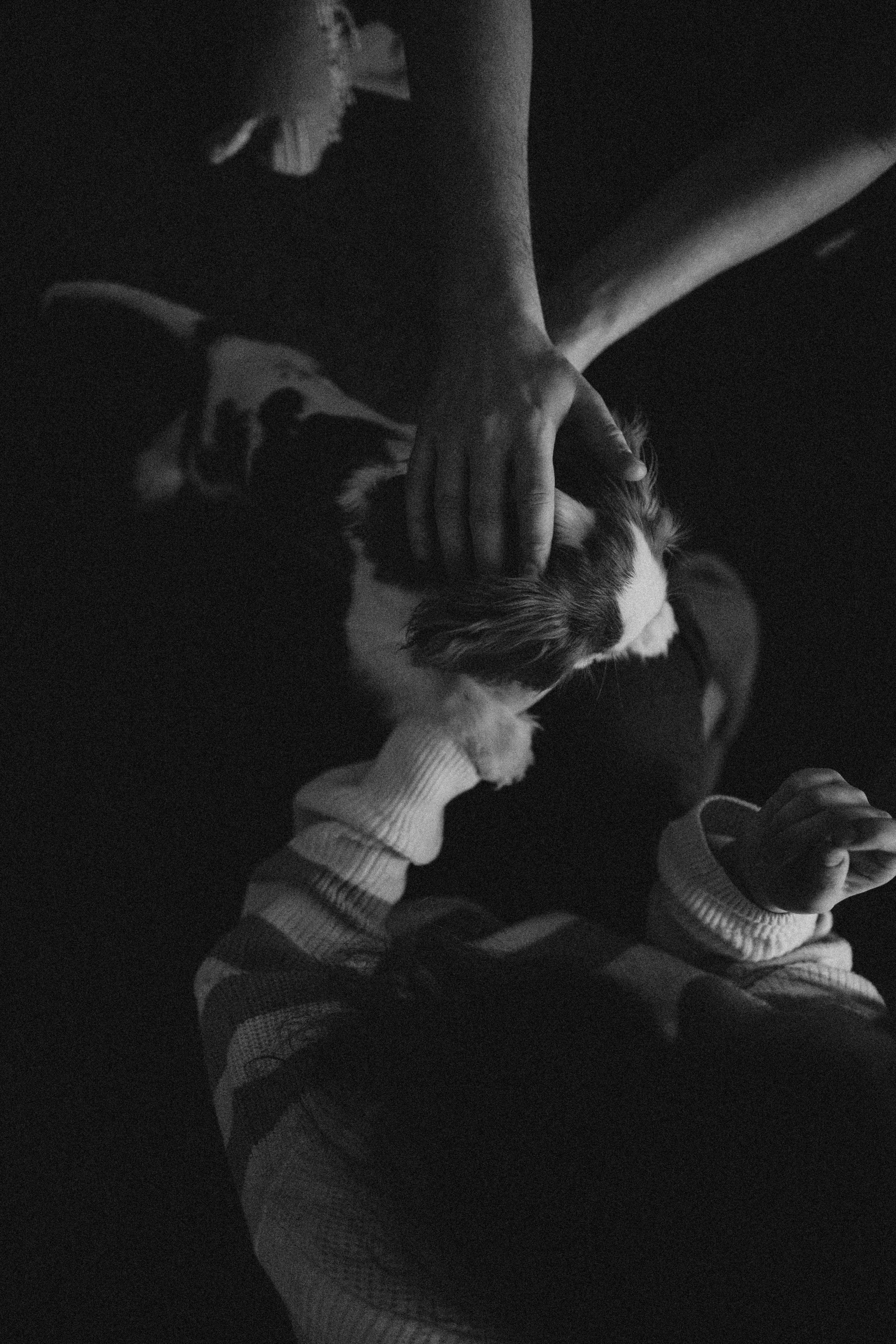 Юля и Кипр. Фотограф-анималист в Москве Лера Черноног