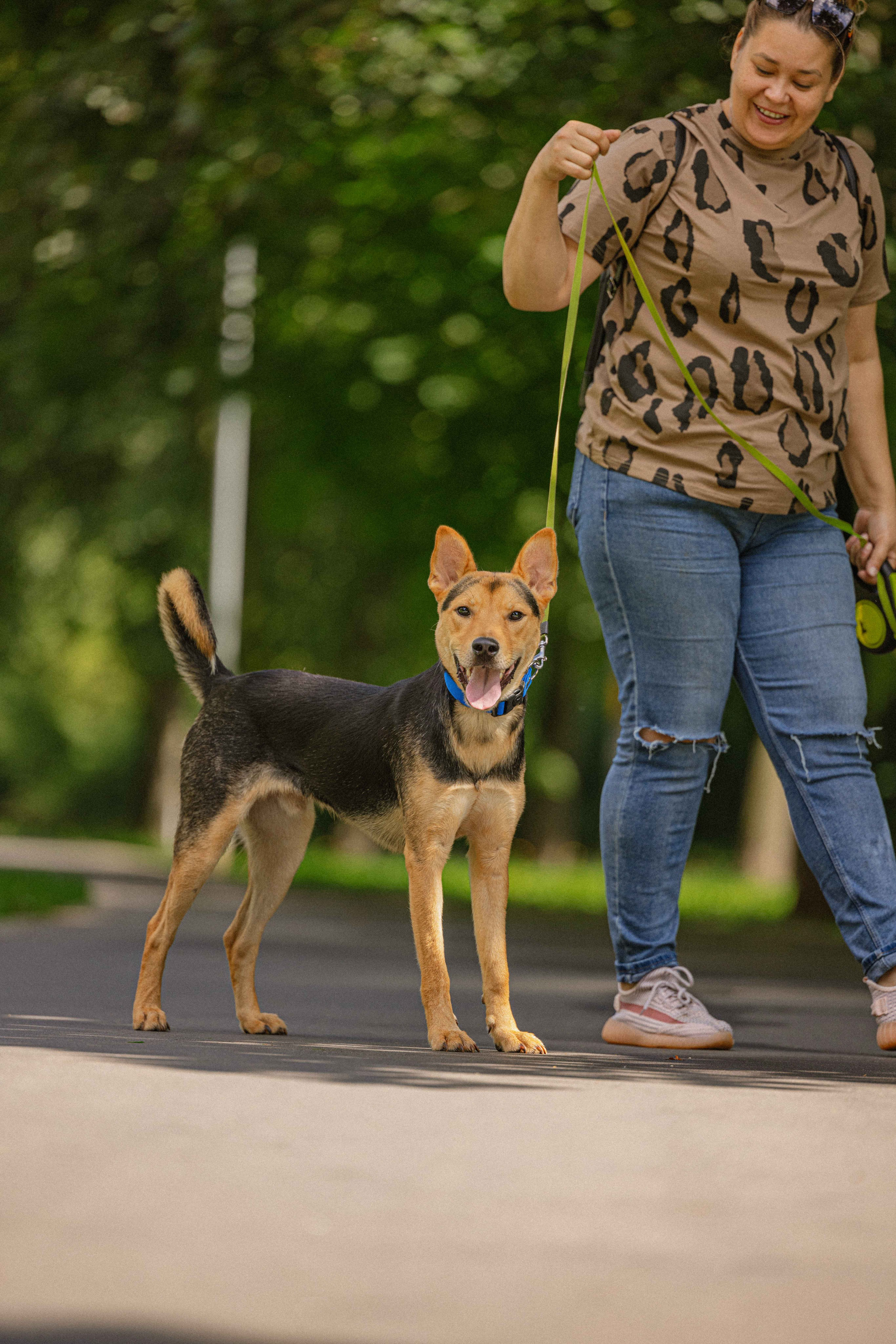 Джеки. Фотограф-анималист в Москве Лера Черноног