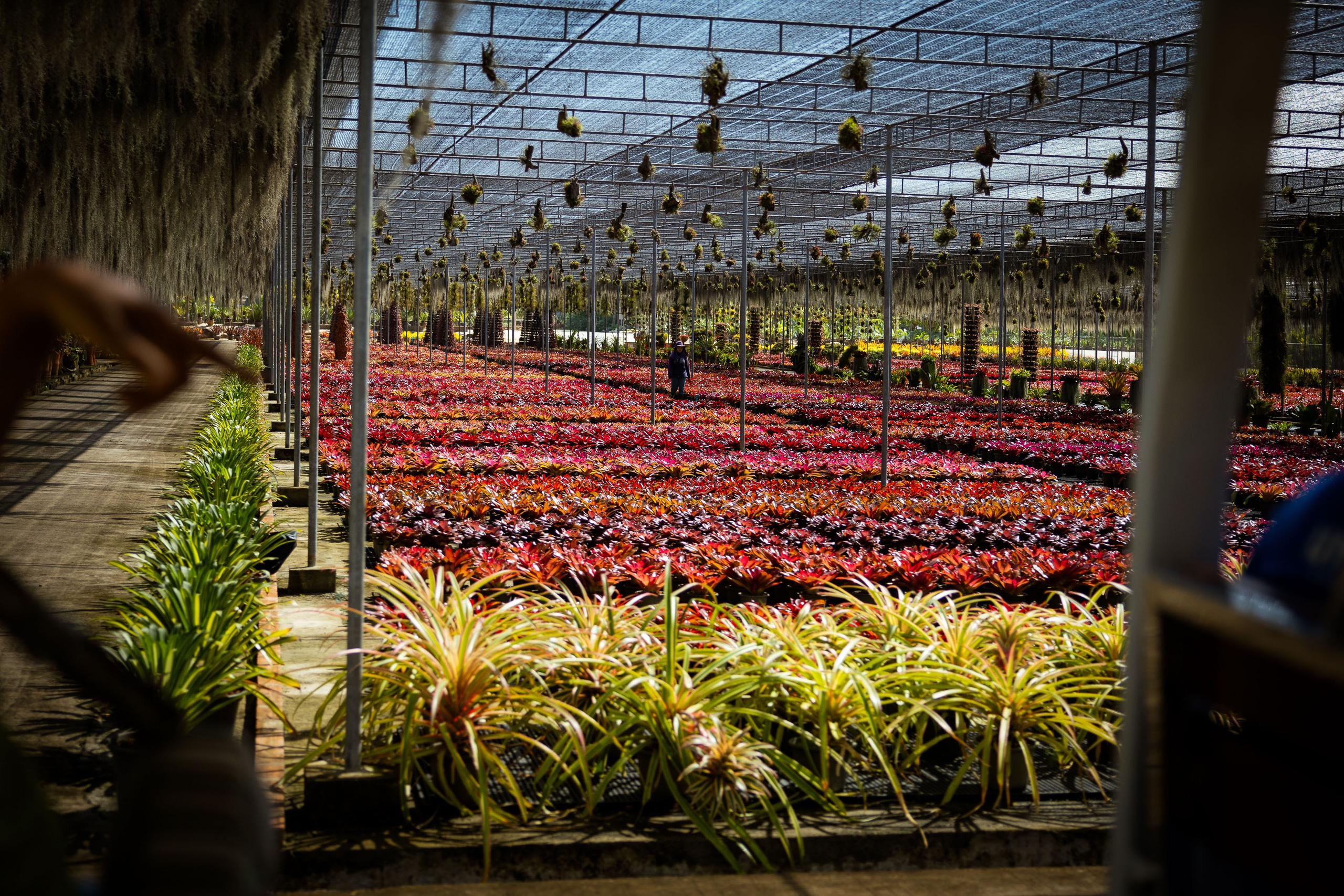 Таиланд (зима 2025). Фотограф Виноградов Константин