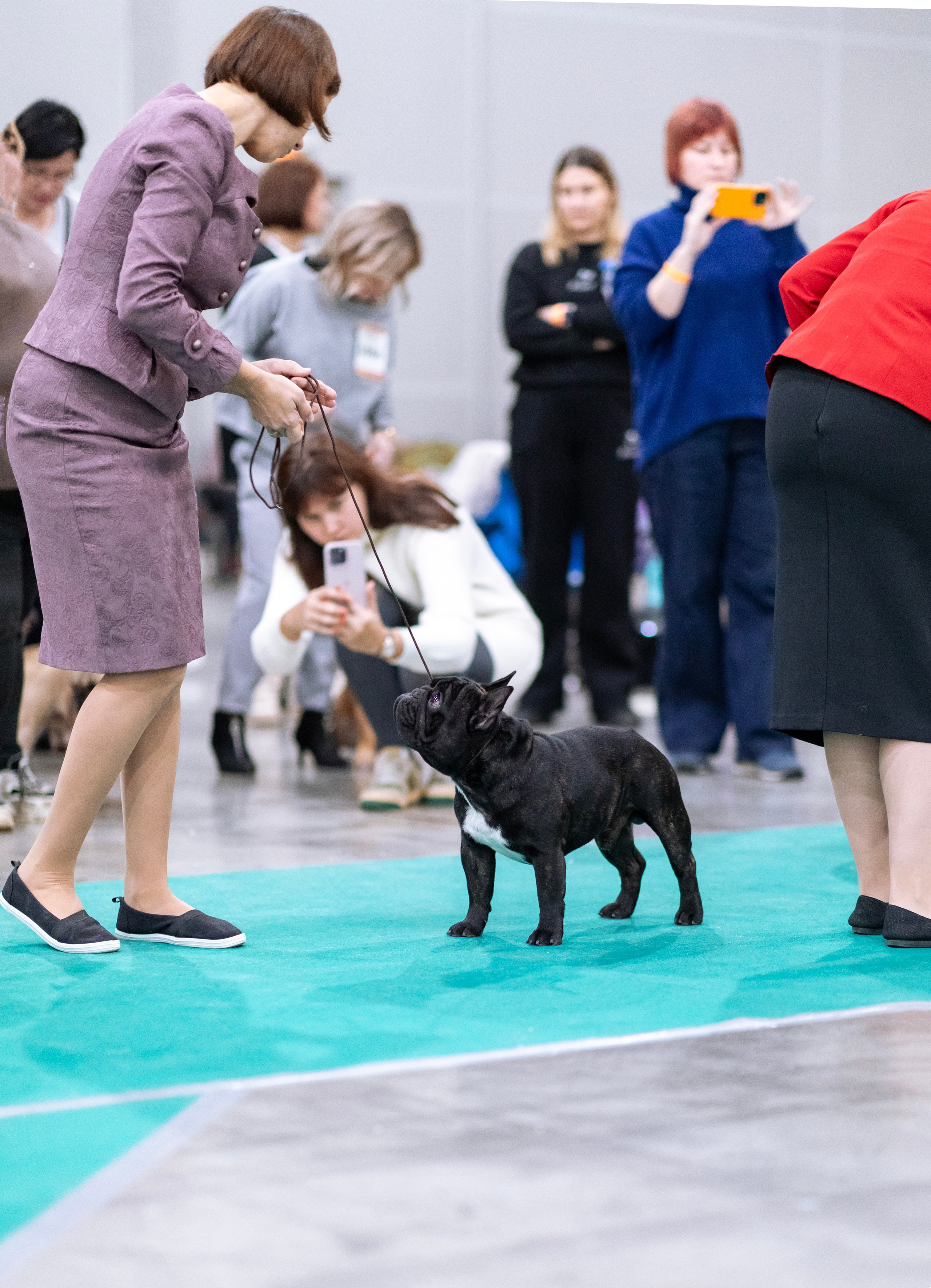 Евразия. Фотограф — анималист Татьяна Ли