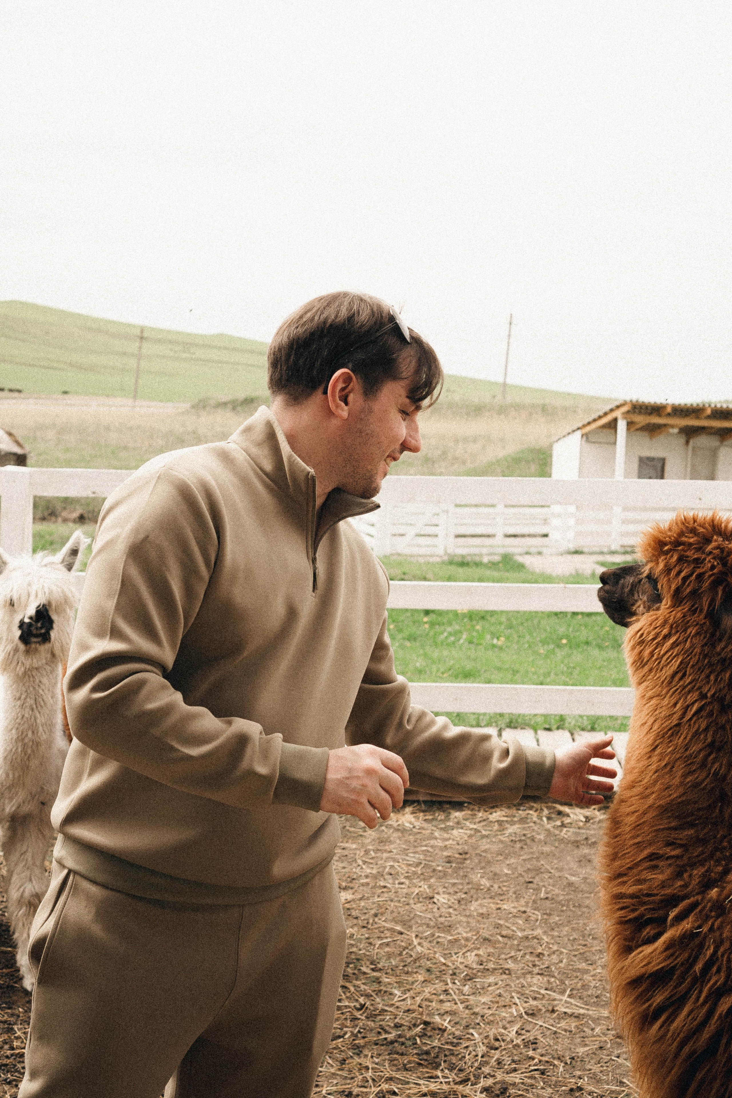 Ферма Альпак. Профессиональный фотограф, Санкт-Петербург — Виктория Богомолова
