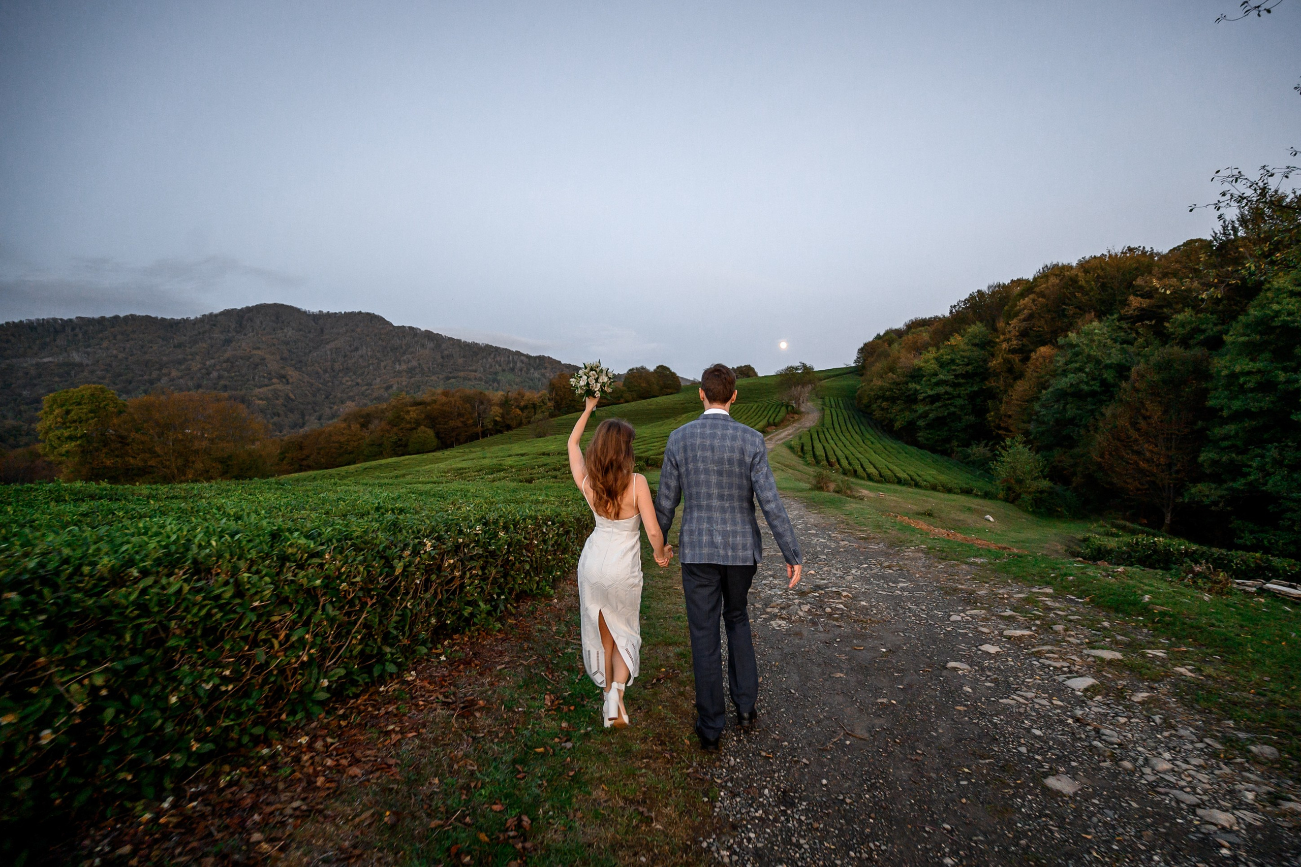 Чайные плантации. Олег и Светлана. Свадебный и семейный фотограф София Невская
