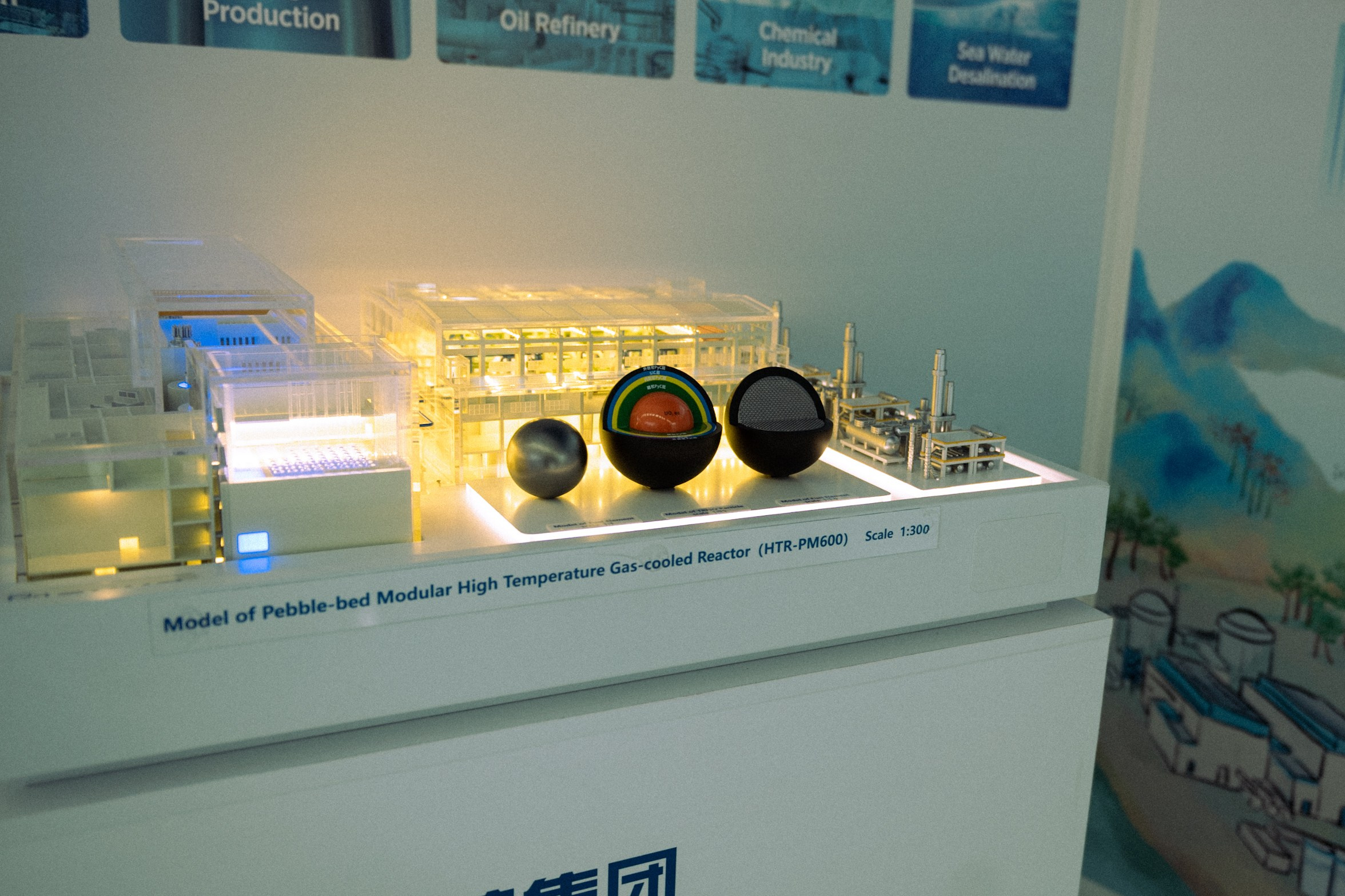 Атомэкспо 2024. Свадебный и семейный фотограф София Невская