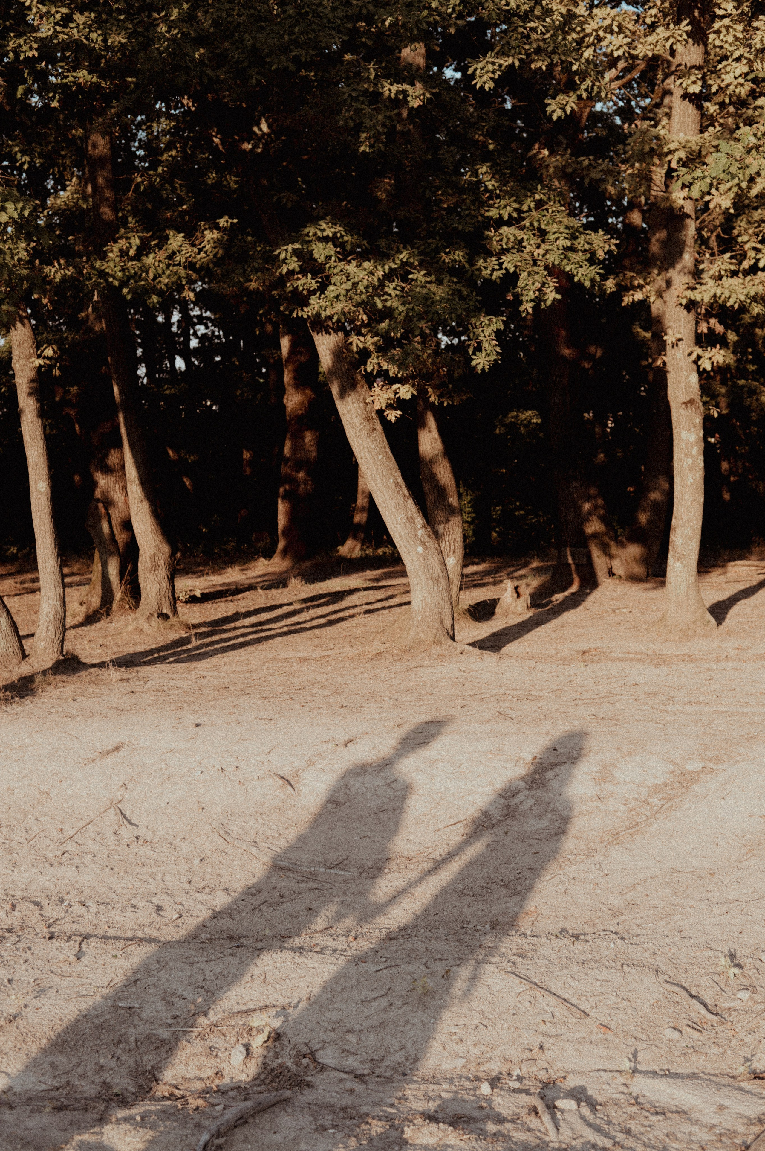 Семейные и беременность. Главная