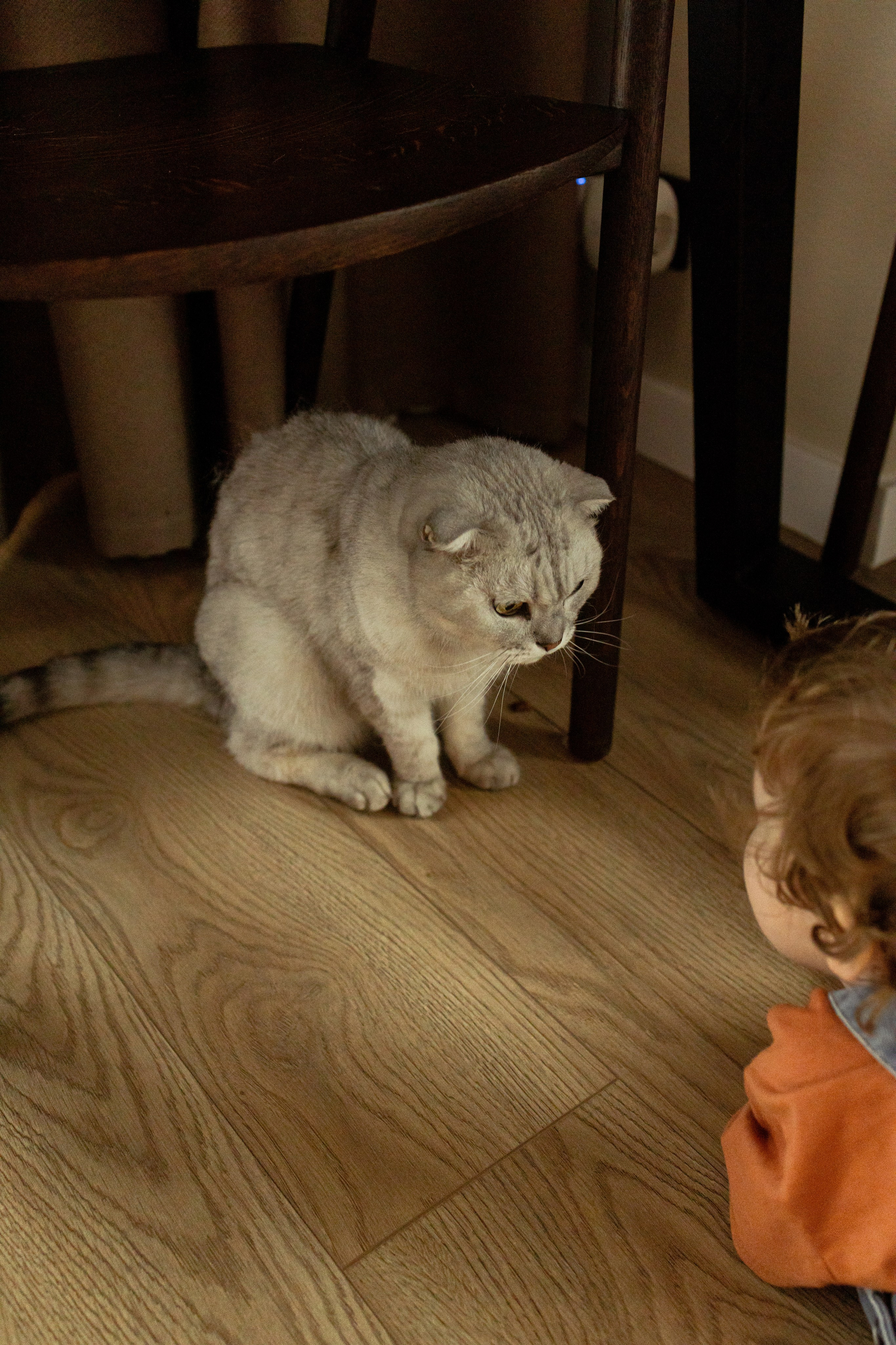 Тепло. Фотограф Анастасия Бобылева, Москва и Московская область