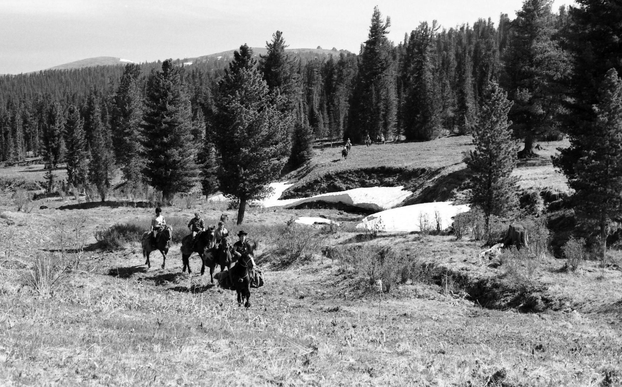 Свадебный фотограф в Геленджике