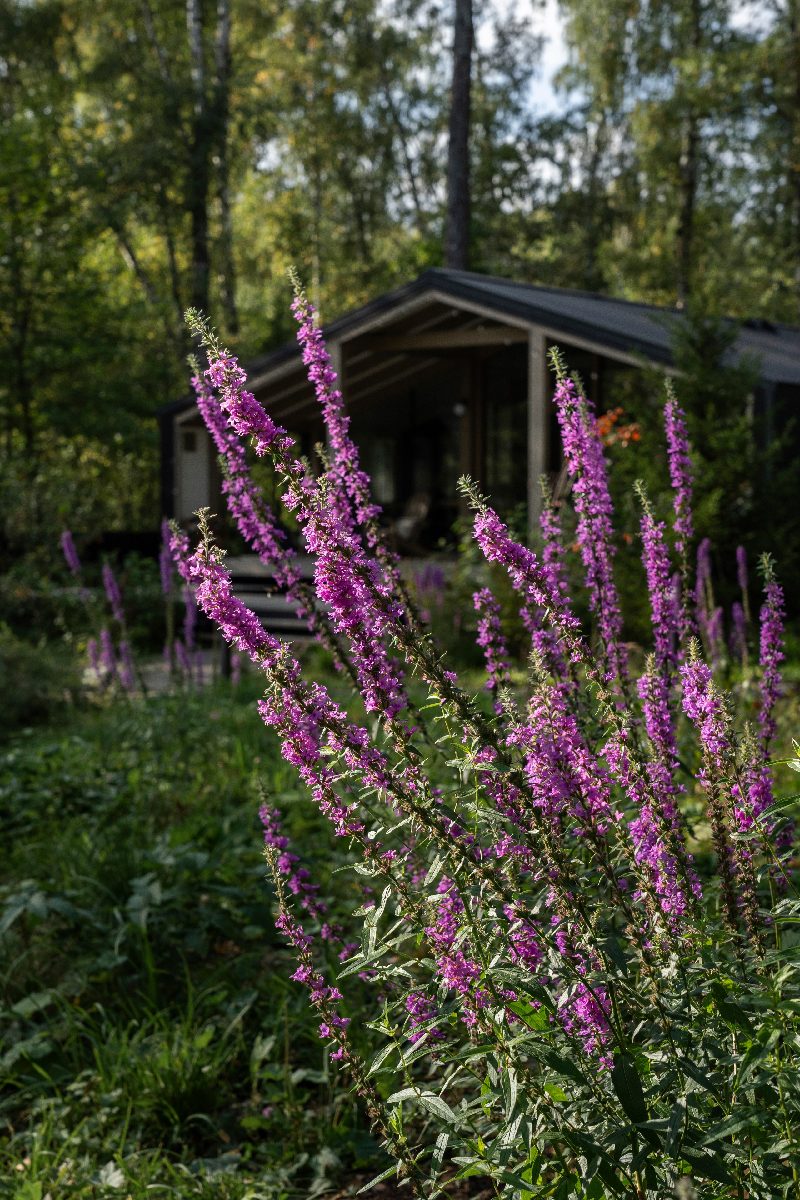 DublDom. Артамонов Александр | Архитектурный и ландшафтный фотограф
