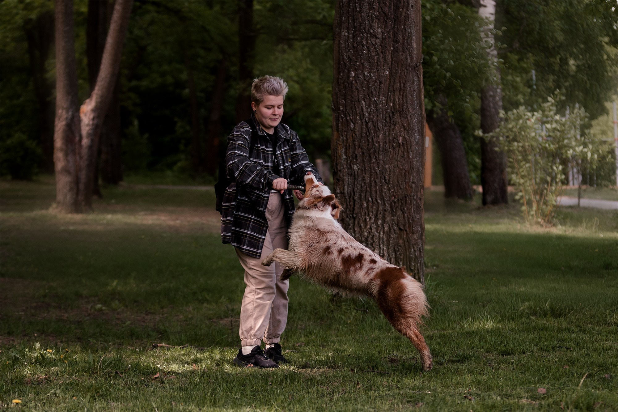 Аусси Галя. Фотограф анималист Кузнецова Анна Нижний Новгород