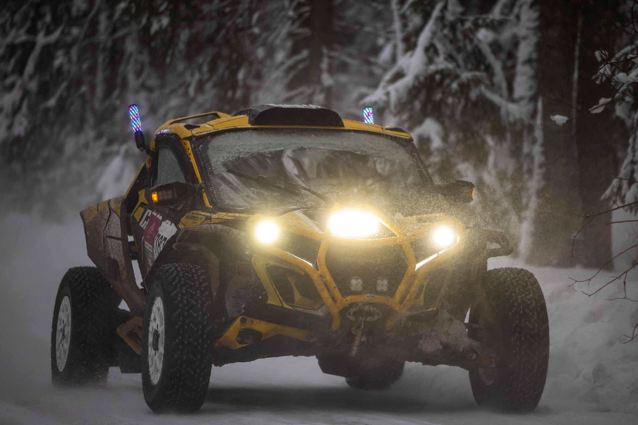 Ралли СеверныйЛес