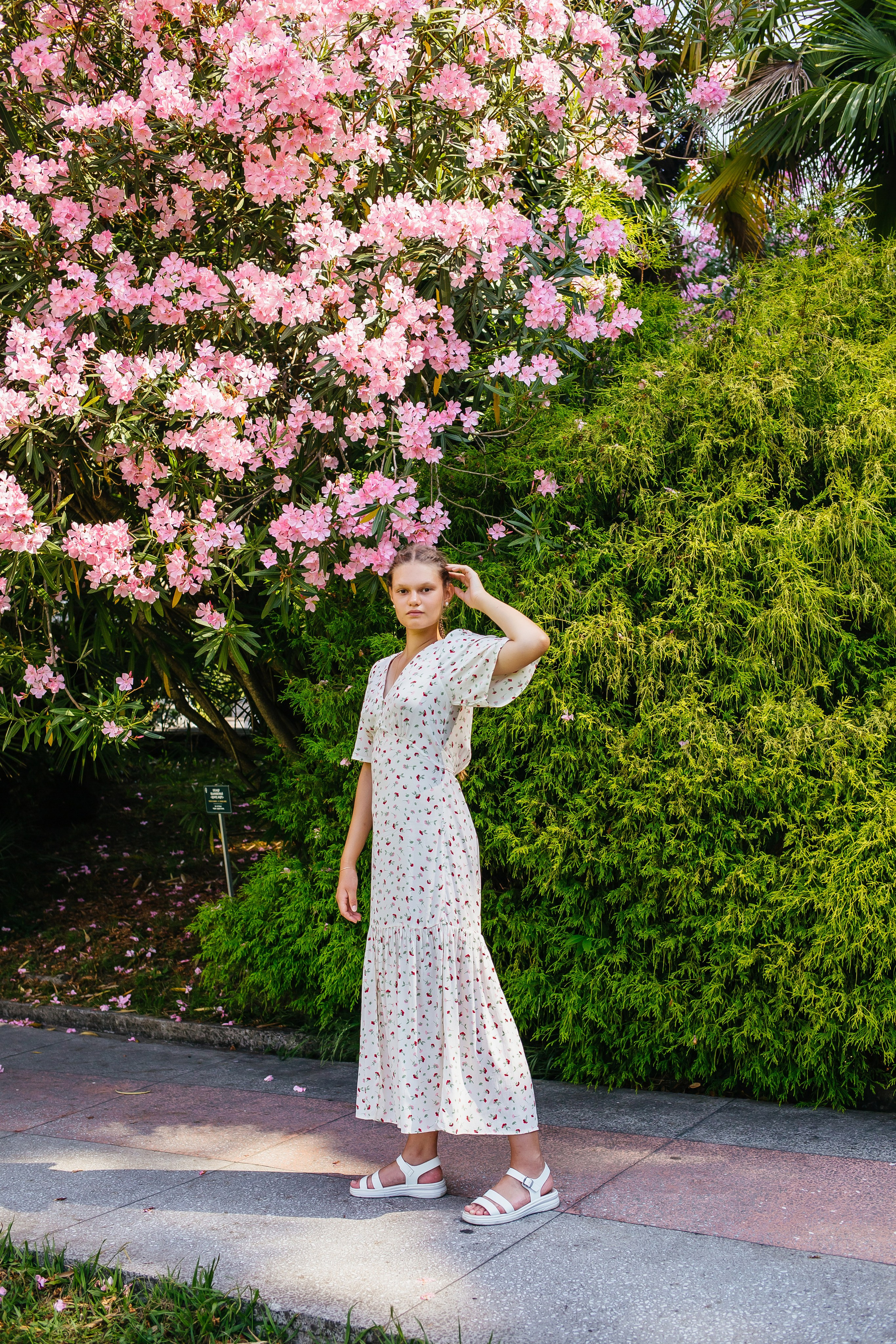 Романтическая прогулка для пары в Сочинском дендрарии. Уединенные тропинки, бамбуковые рощи и цветущие аллеи. 