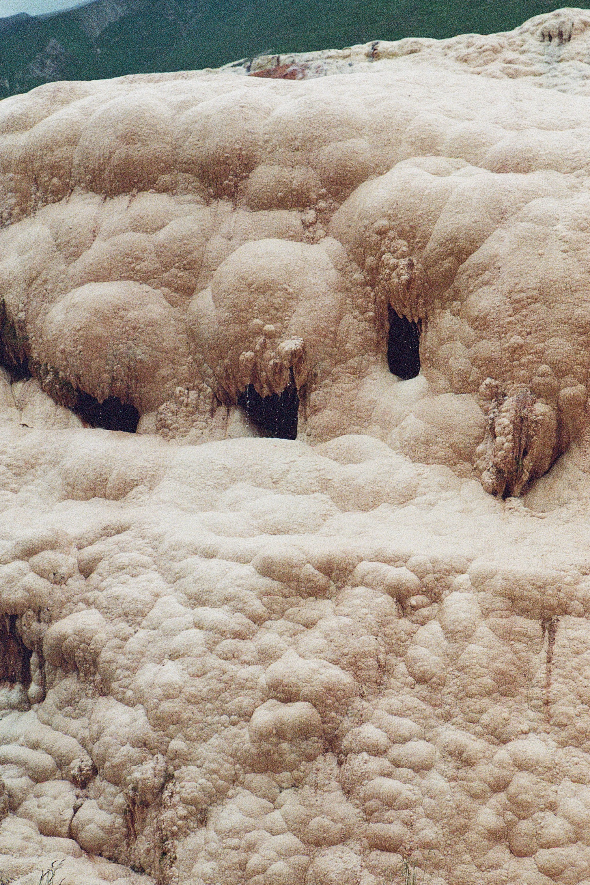 ГРУЗИЯ. ПРИРОДА.25. Профессиональный фотограф Федотова Арина