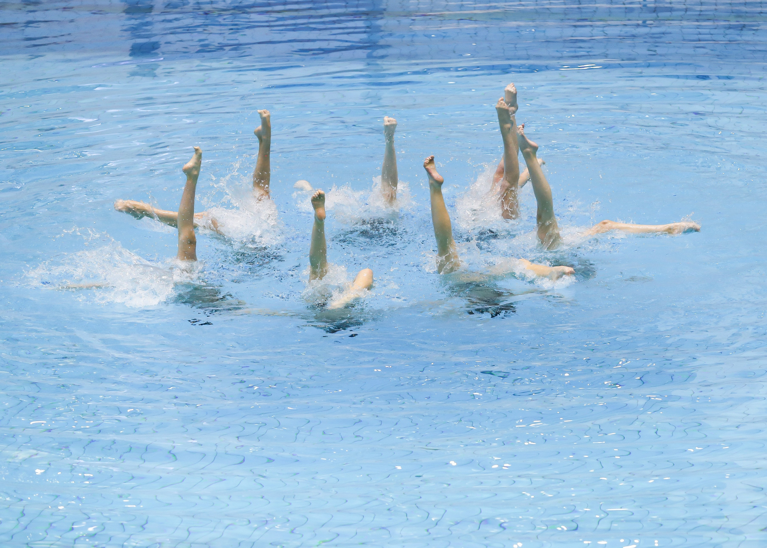 Первенство России по синхронному плаванию. Техническая программа. Группы. Репортажный фотограф в Москве