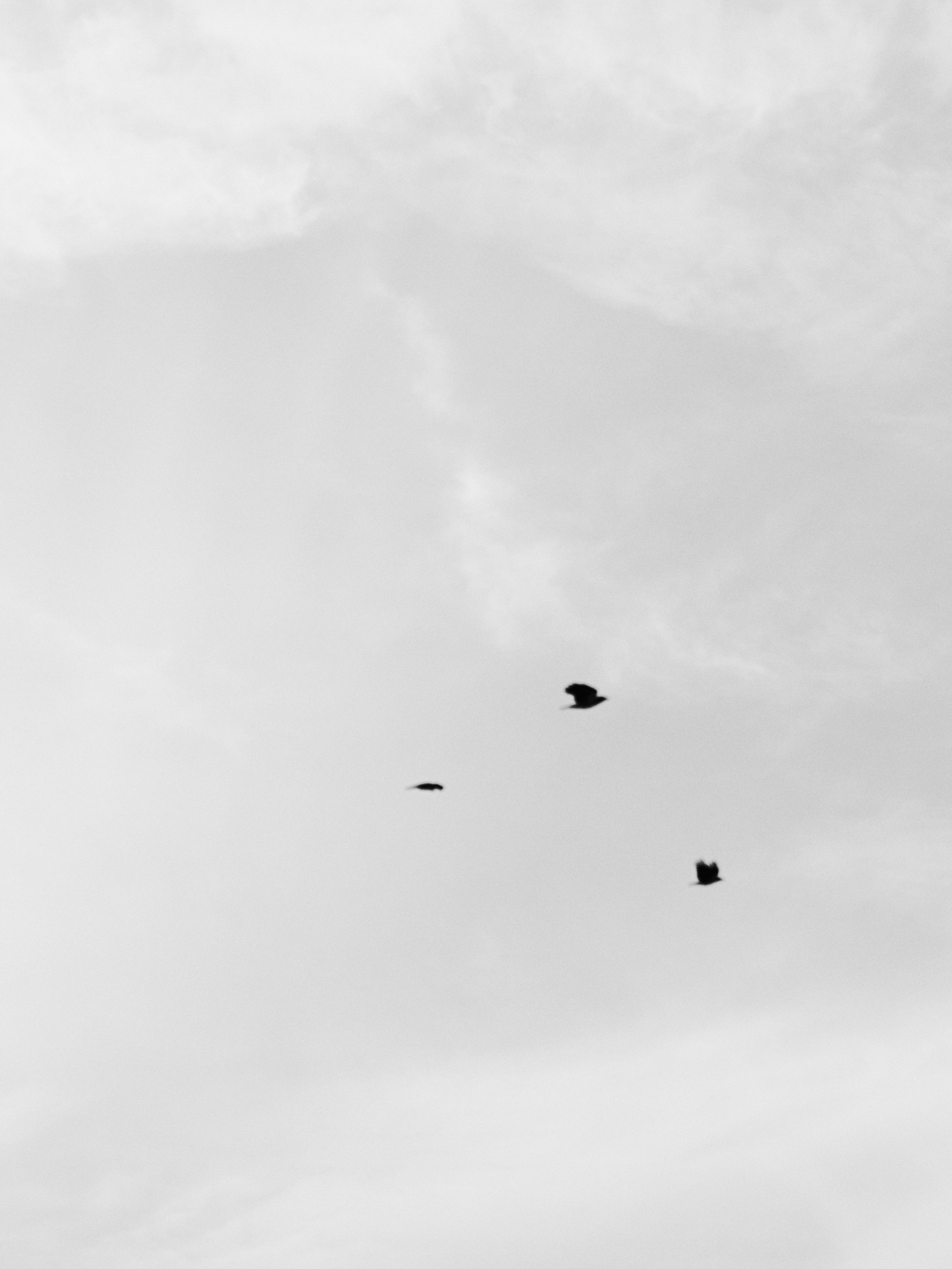 Диптих. Jorgis — фотограф в Хургаде / обучение фотографии