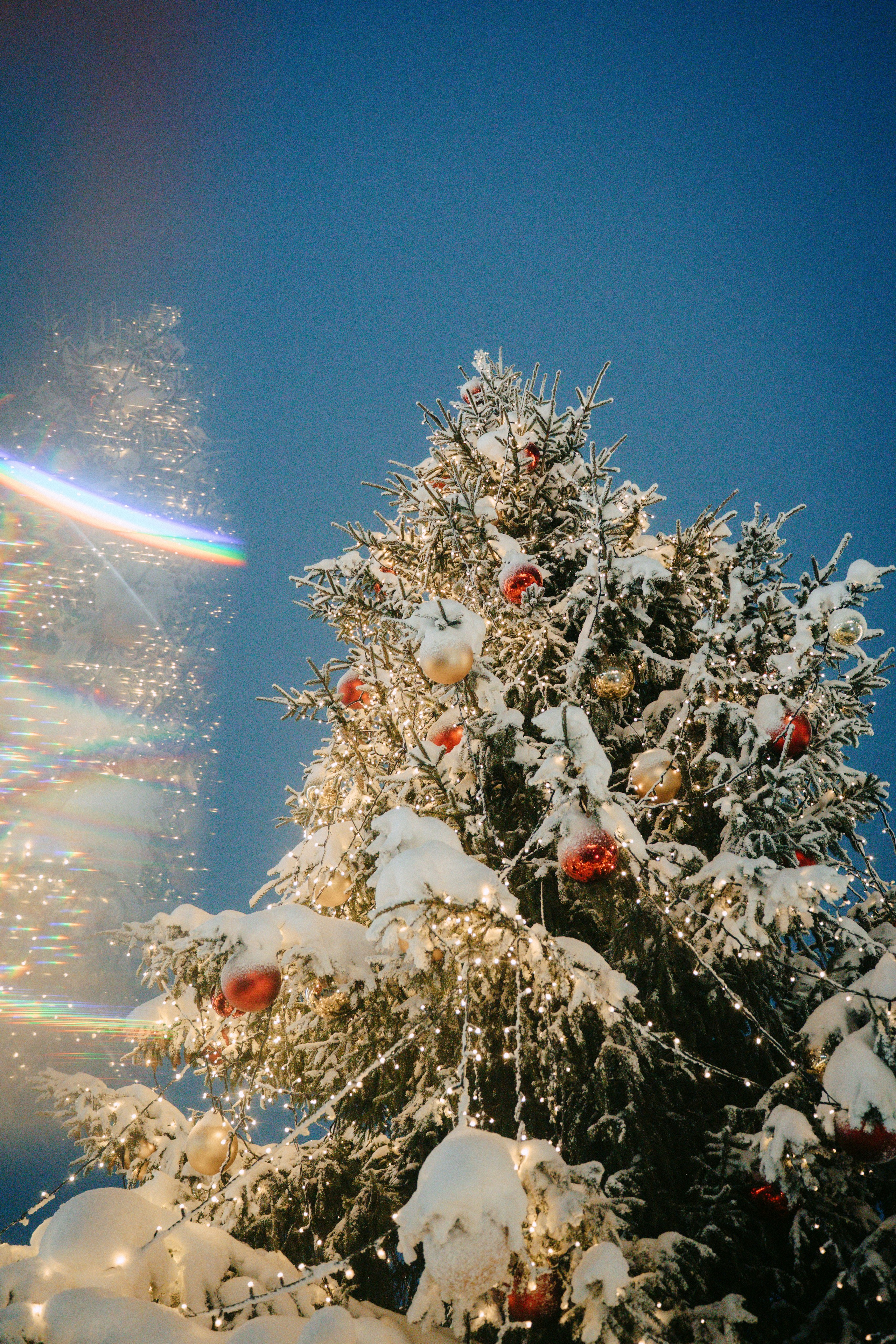Новогодний Московский рынок. Главная