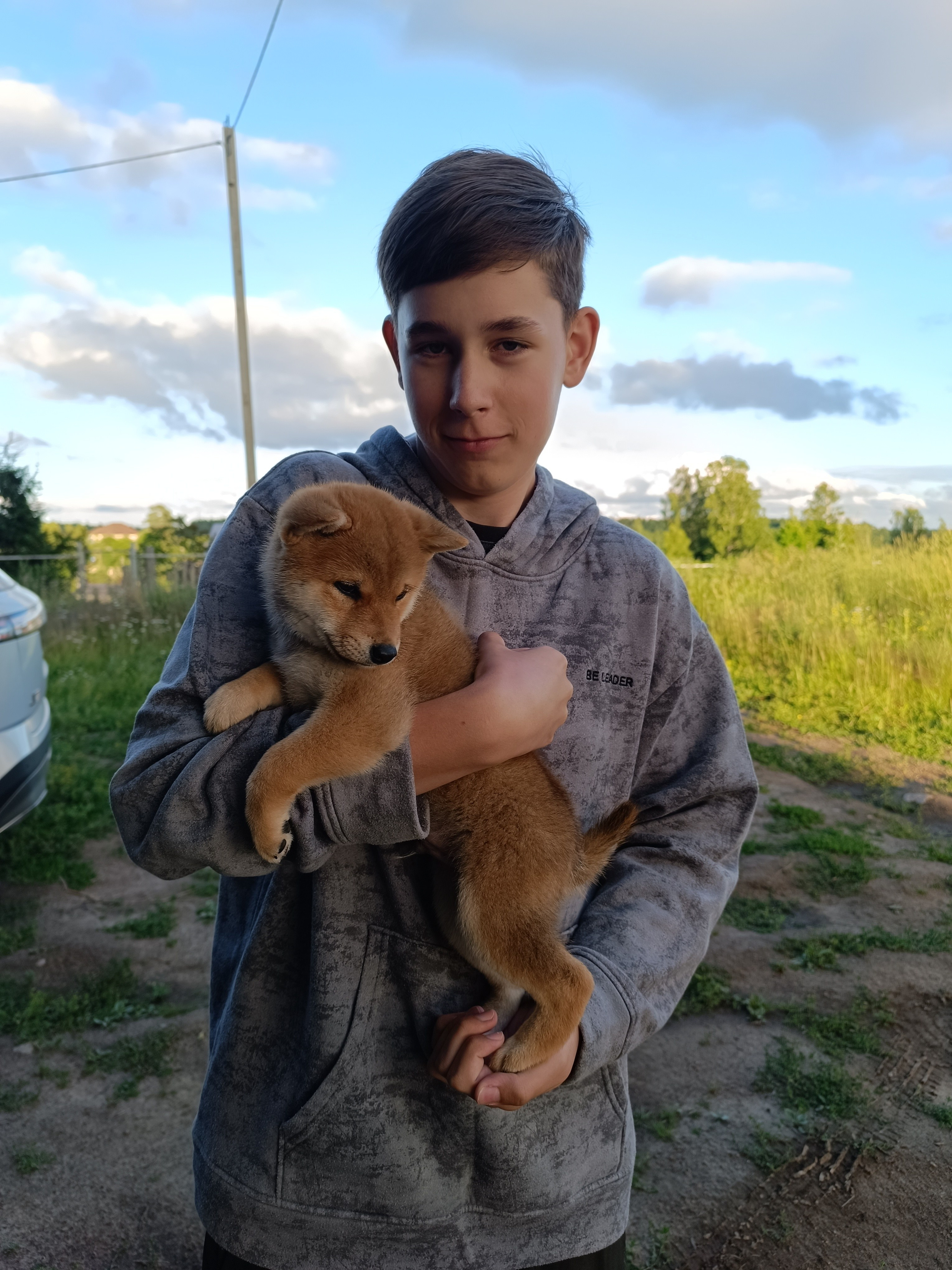 Сиба Rubylight Germes питомник Рубилайт