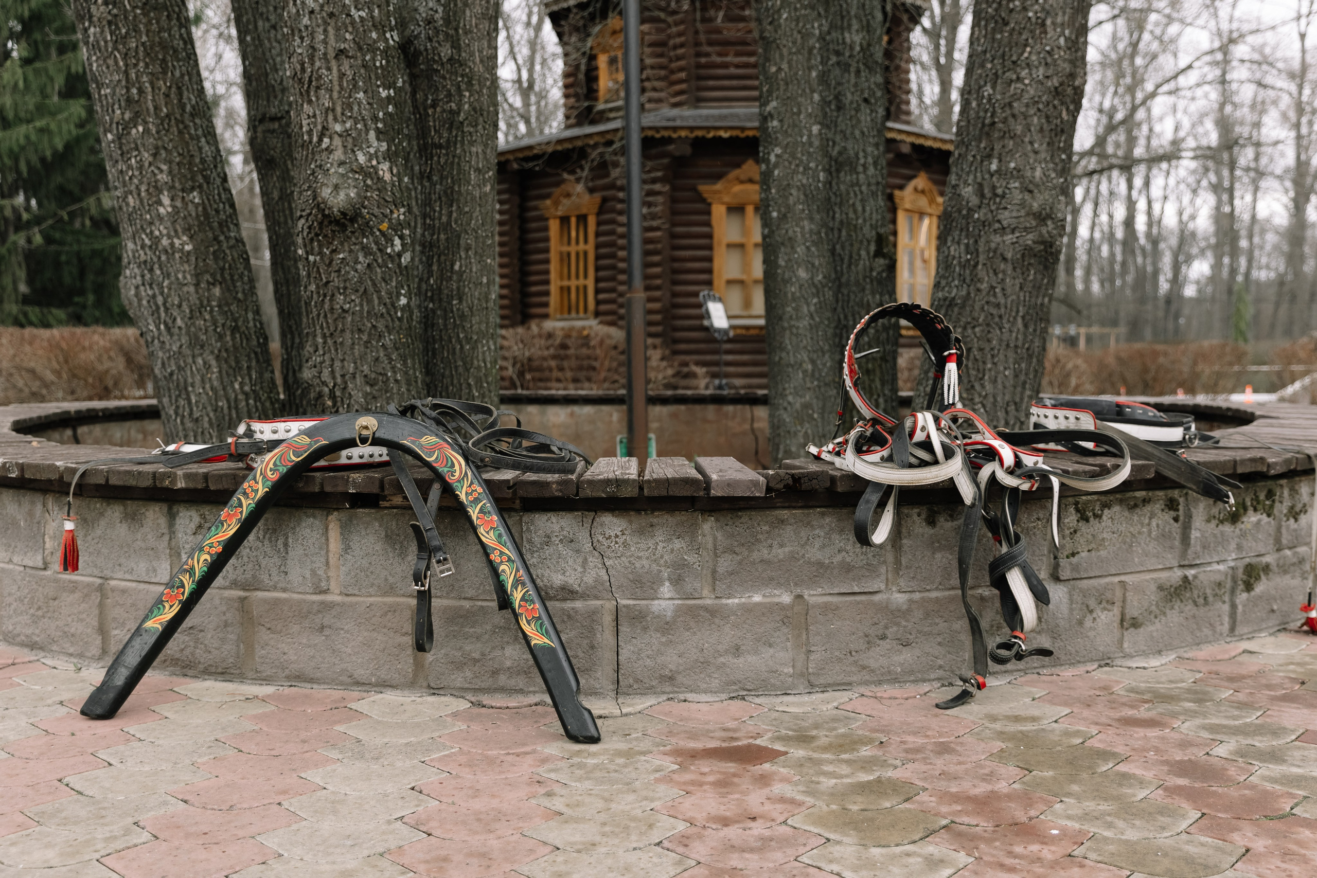 День Орловского рысака. Парк-отель Яр. Свадебный, репортажный фотограф Ирина Шкурина