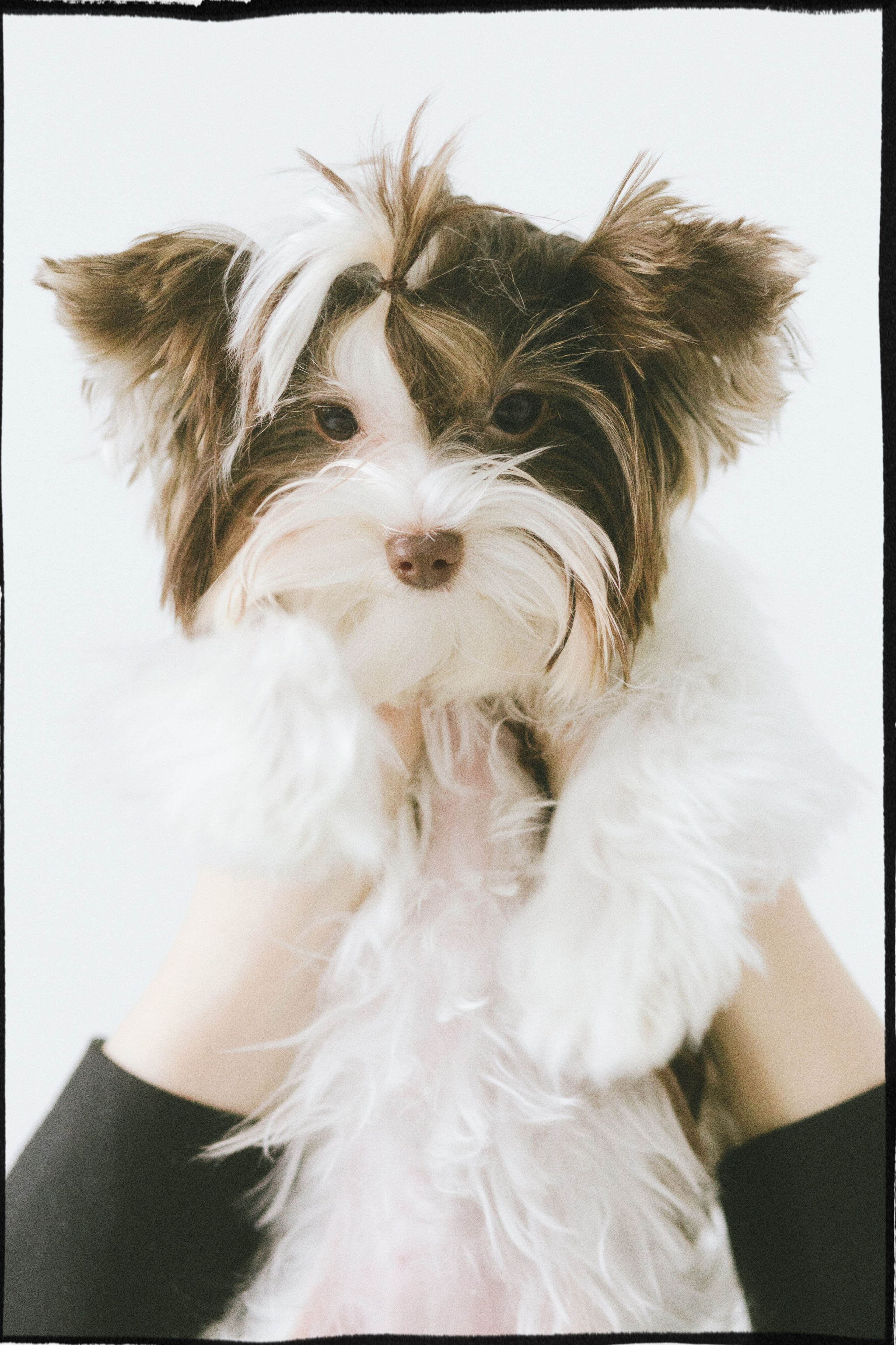 Катя. Фотограф мероприятий, персональные съемки в Москве Владиславлева Настя