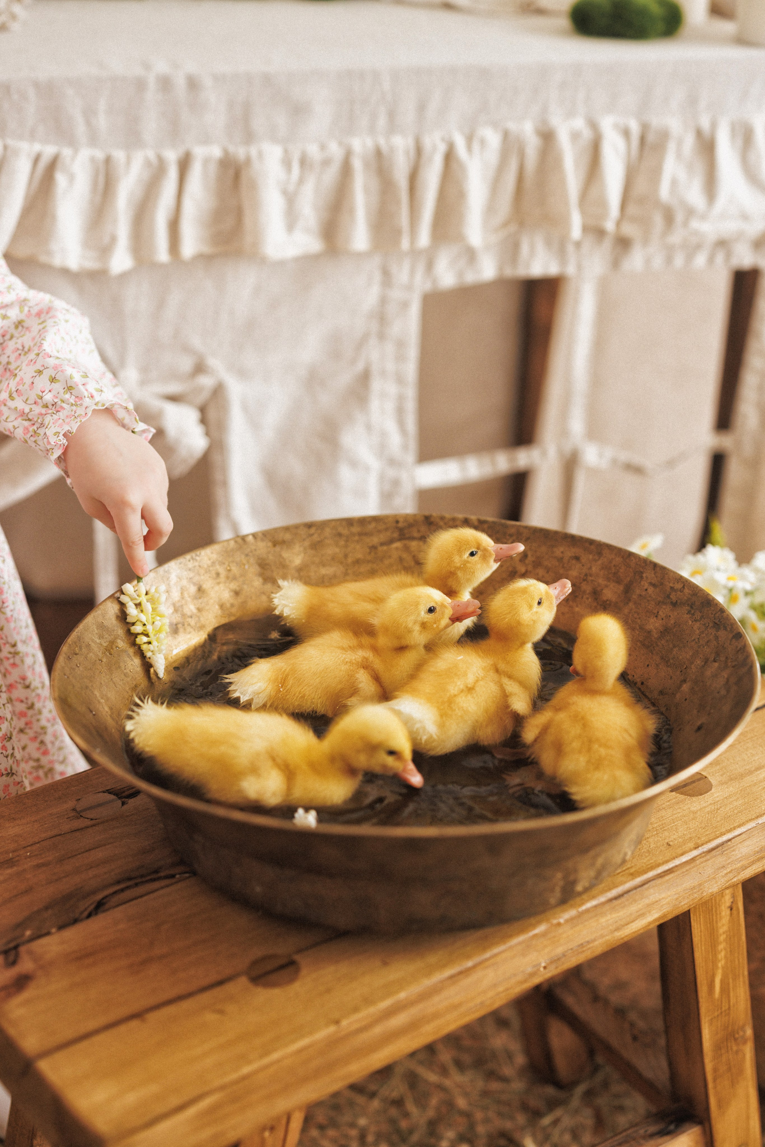 Пасхальная фотосессия в фотостудии «Mestone». Семейный и детский фотограф в Краснодаре Анна Трашкова