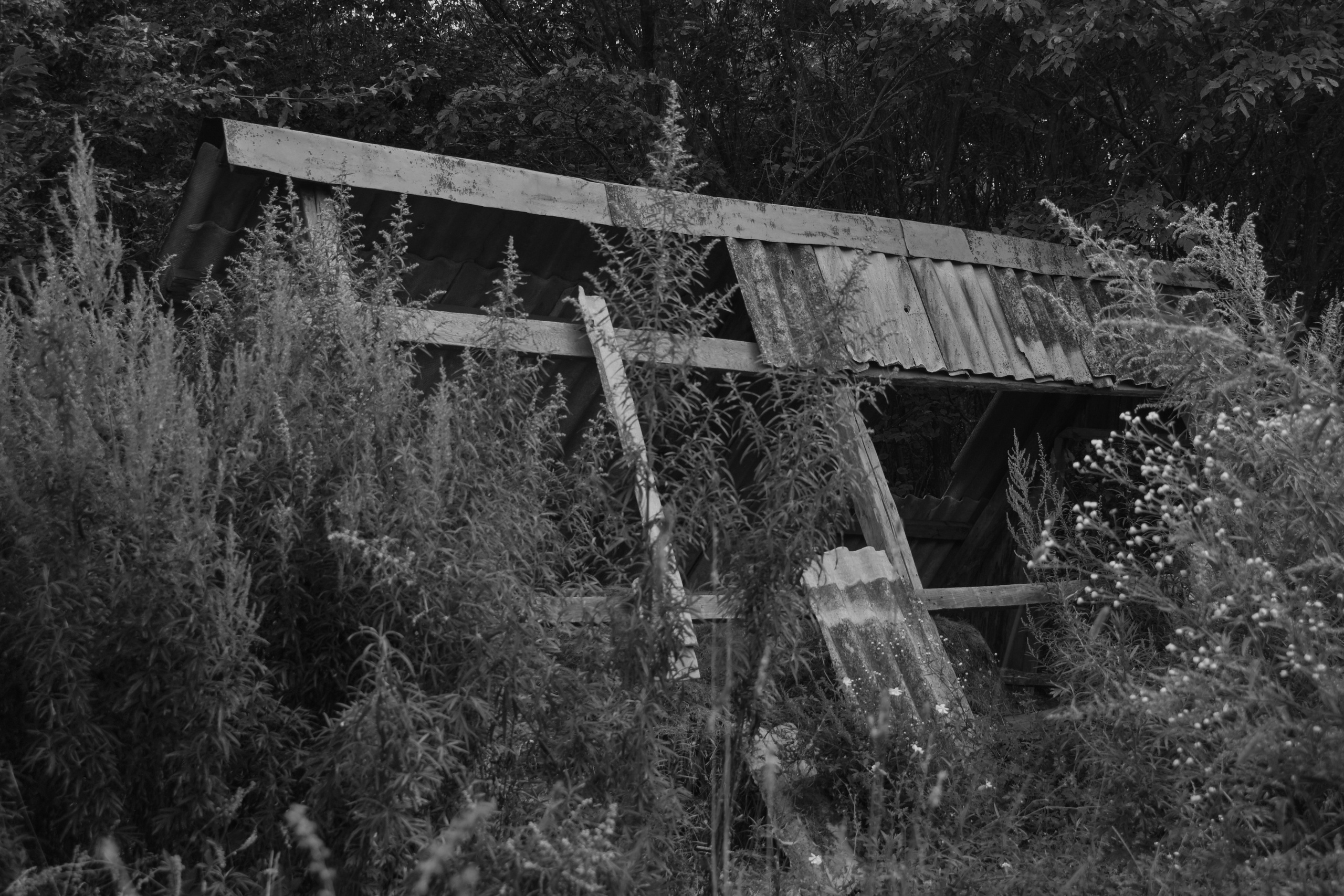 Abandoned. Портретный фотограф во Владивостоке Елена Шкурко