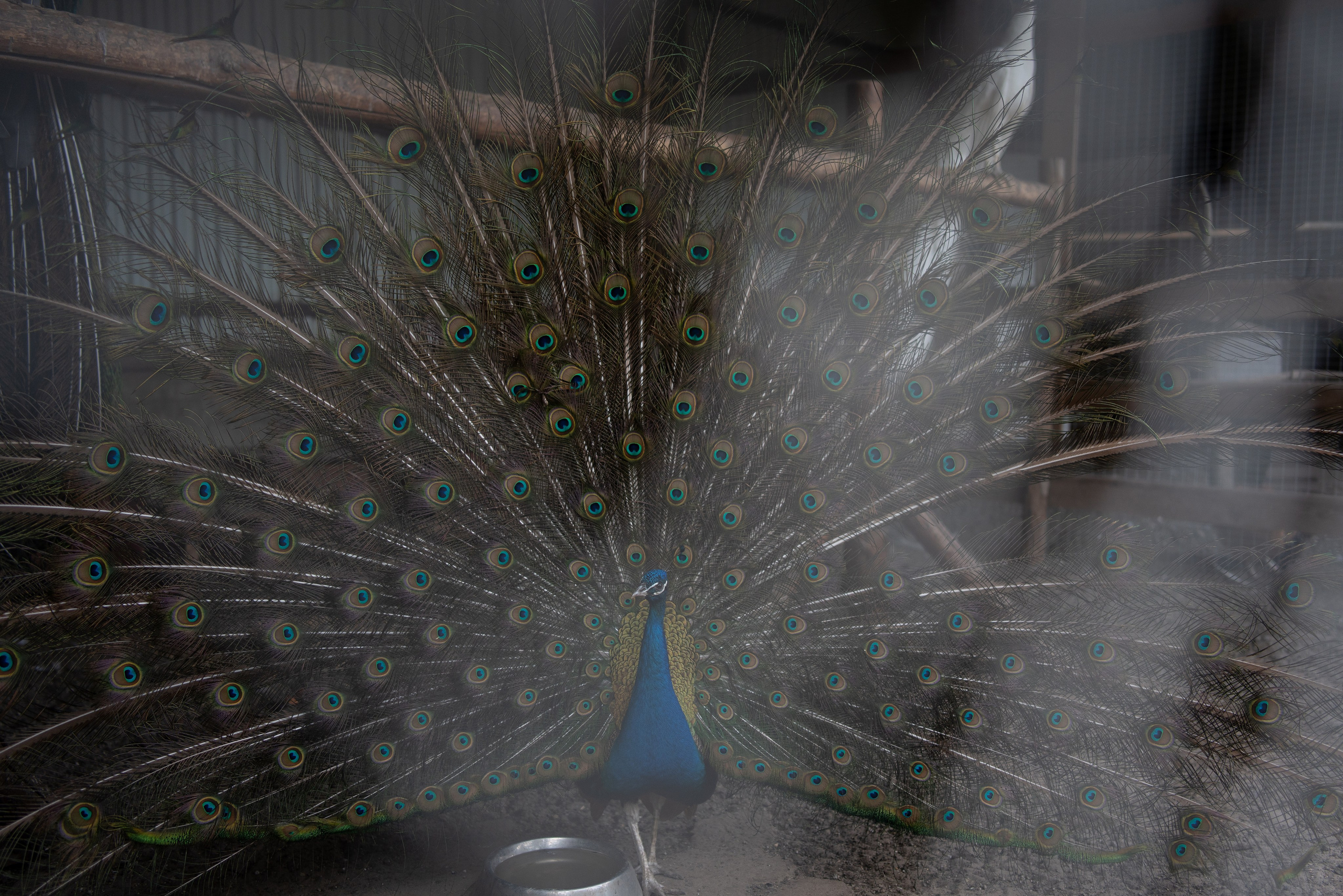 Дети. Фотограф в Ростове-на-Дону Елизаваета Маковей