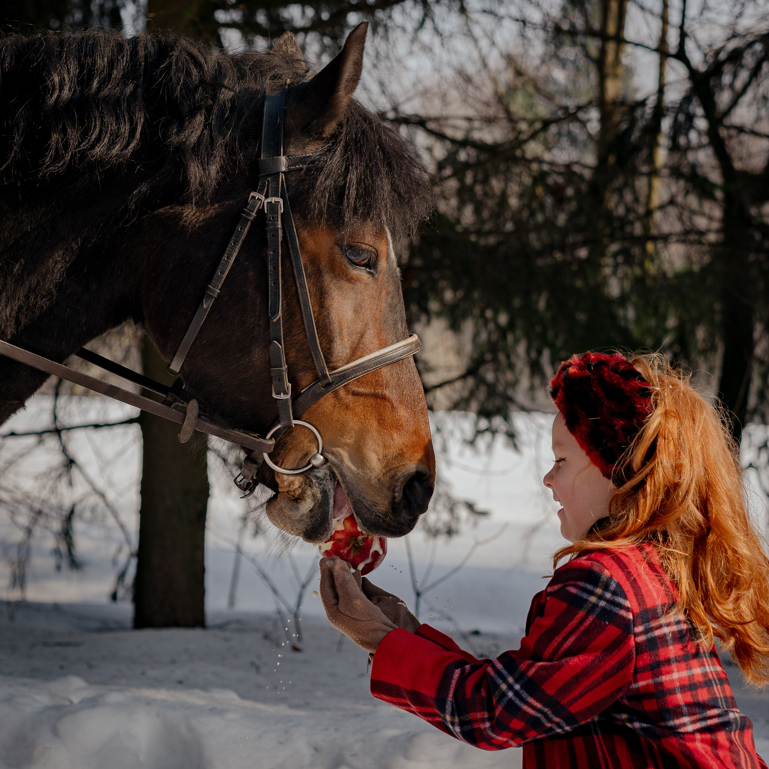 Karolina-съемка для диплома на курсе Ирины Заргано. Портретный и семейный фотограф в Москве/Видное