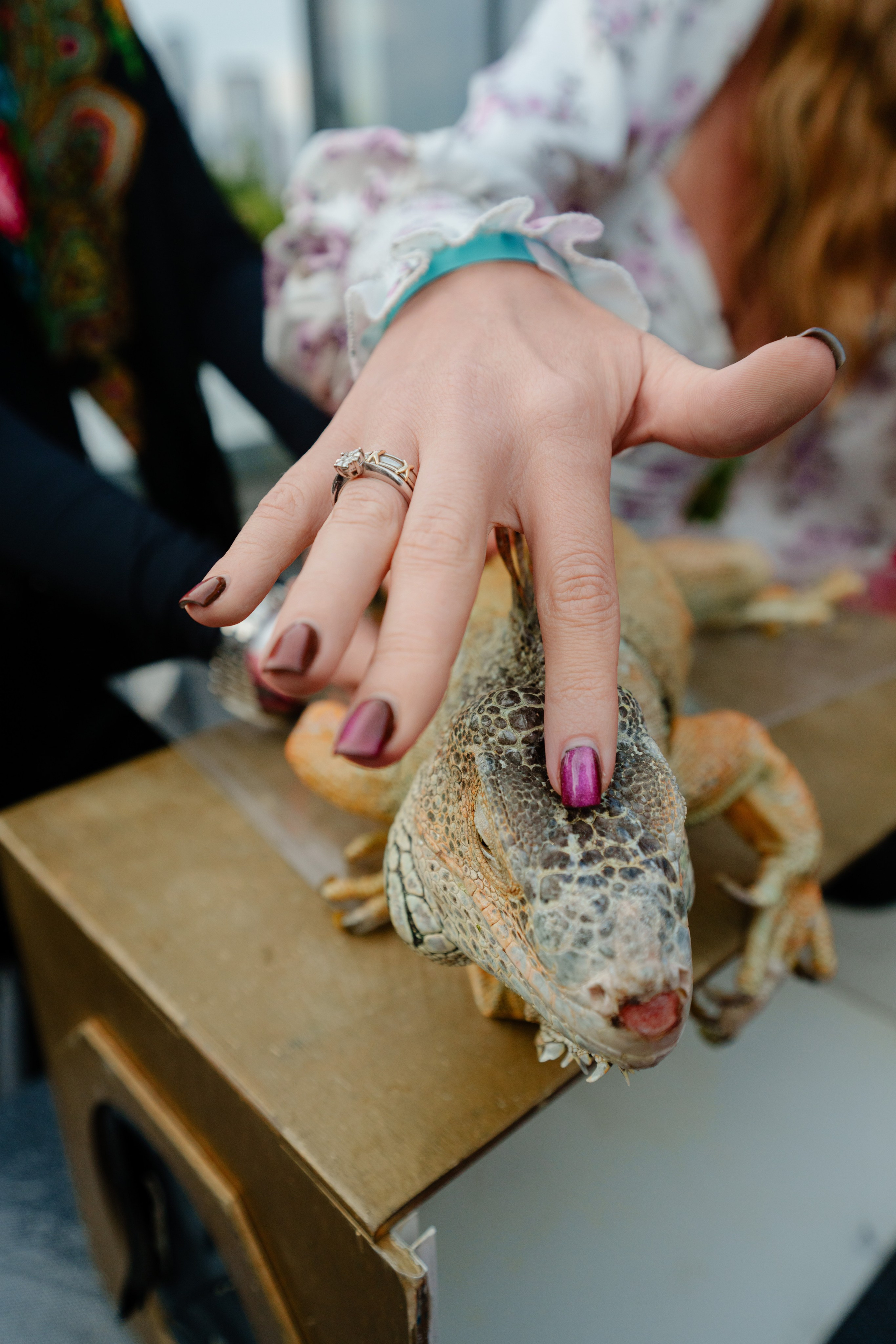 Репортажный фотограф на гендер пати в славянском стиле в Москве. Репортажный фотограф Москва Сергей Дружинин