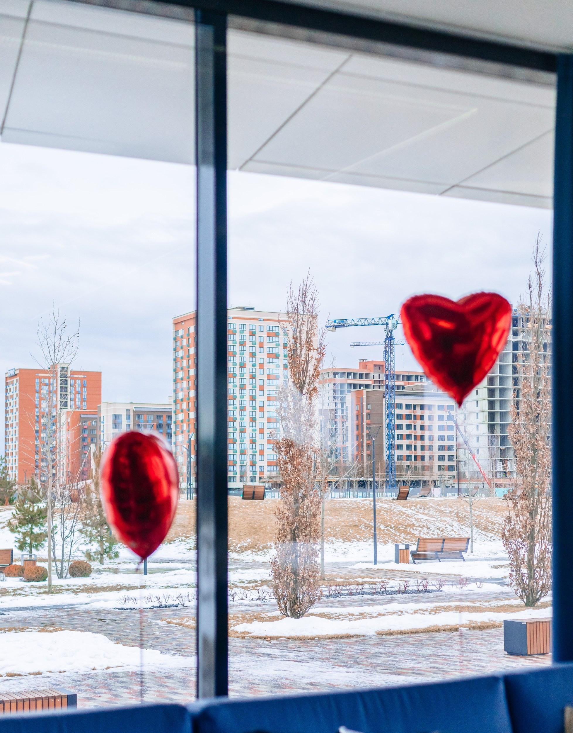 14 февраля | Компания ТОЧНО. Фотограф Марина Верятинская | Краснодар