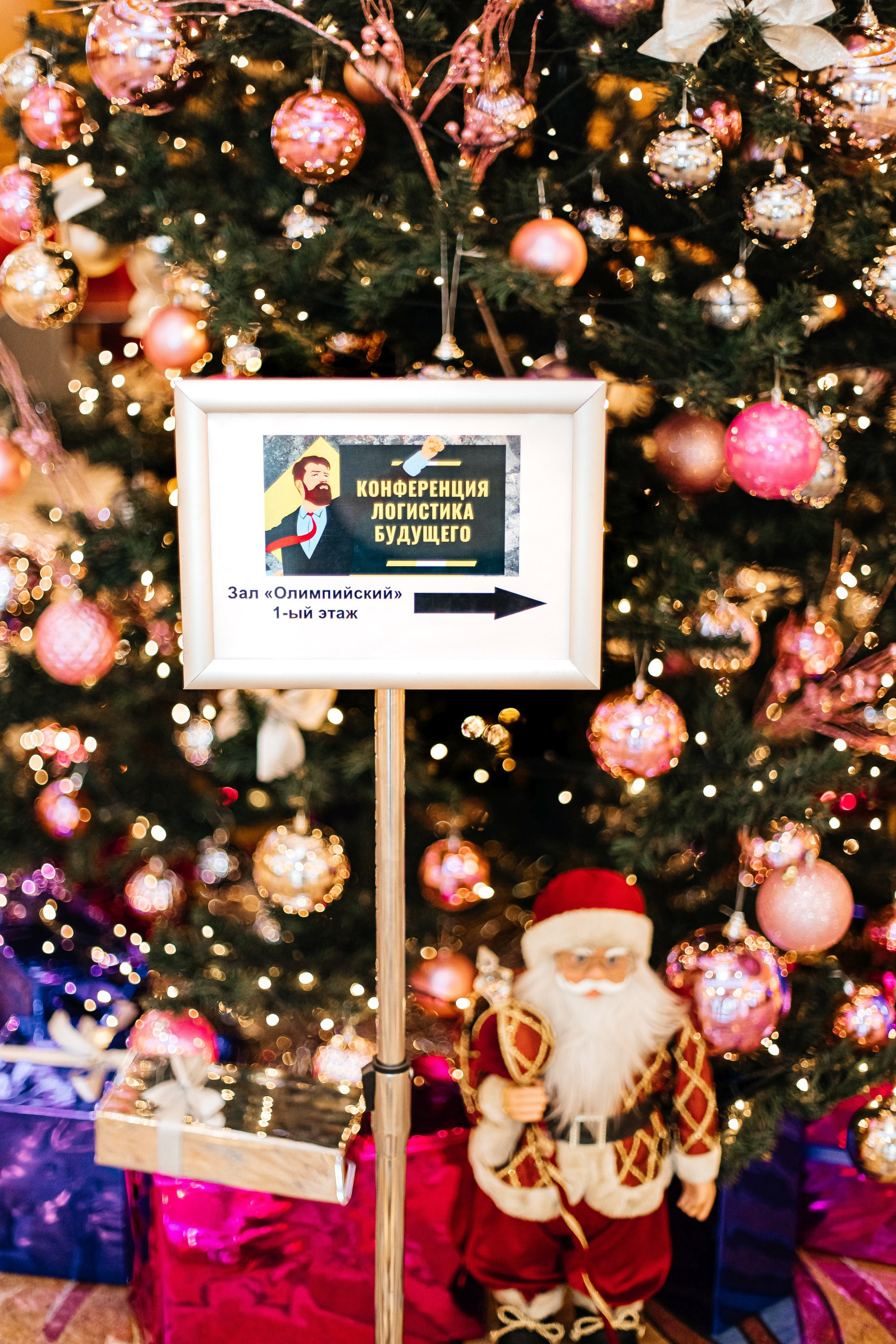 Конференция. Фотограф Марина Верятинская | Краснодар