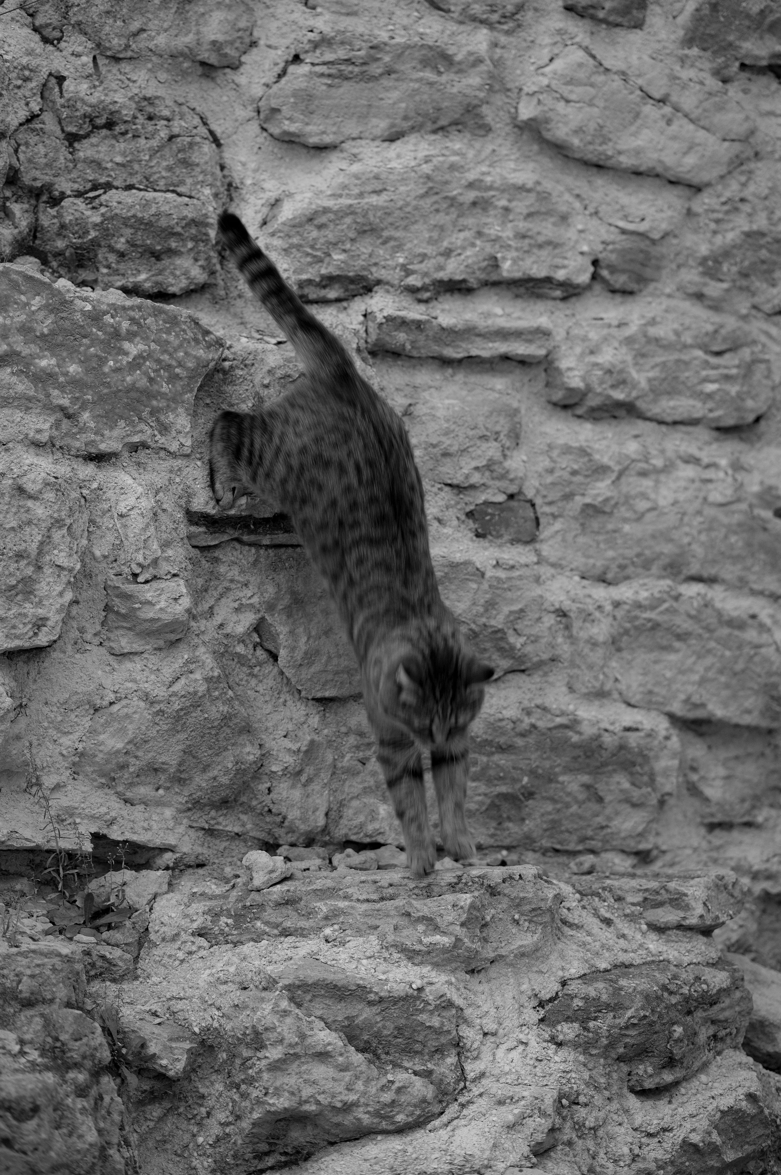 Николай и Екатерина. Свадебный фотограф и видеограф