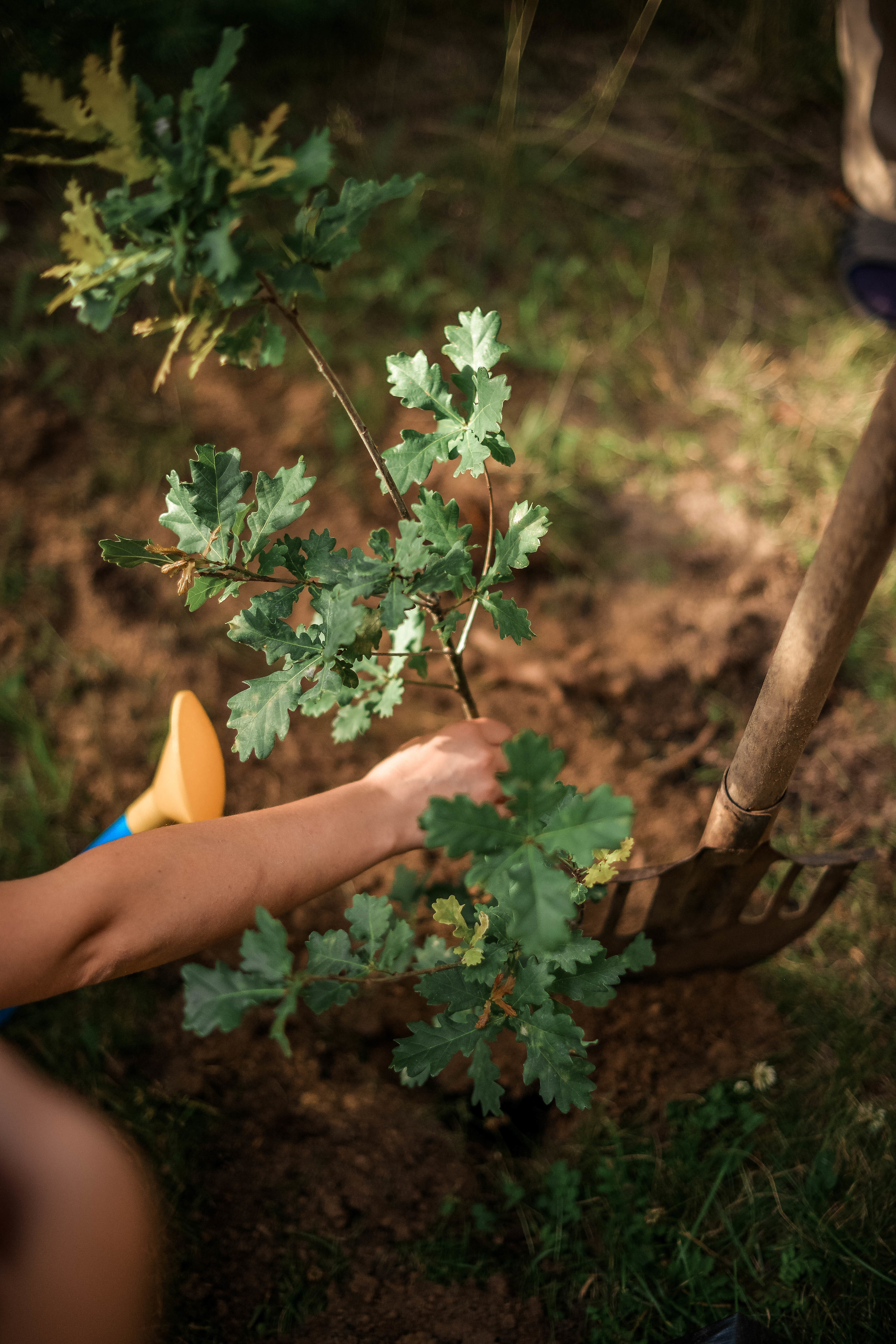 Оксана и Михаил. Свадебный Фотограф в Твери Анастасия Булкина