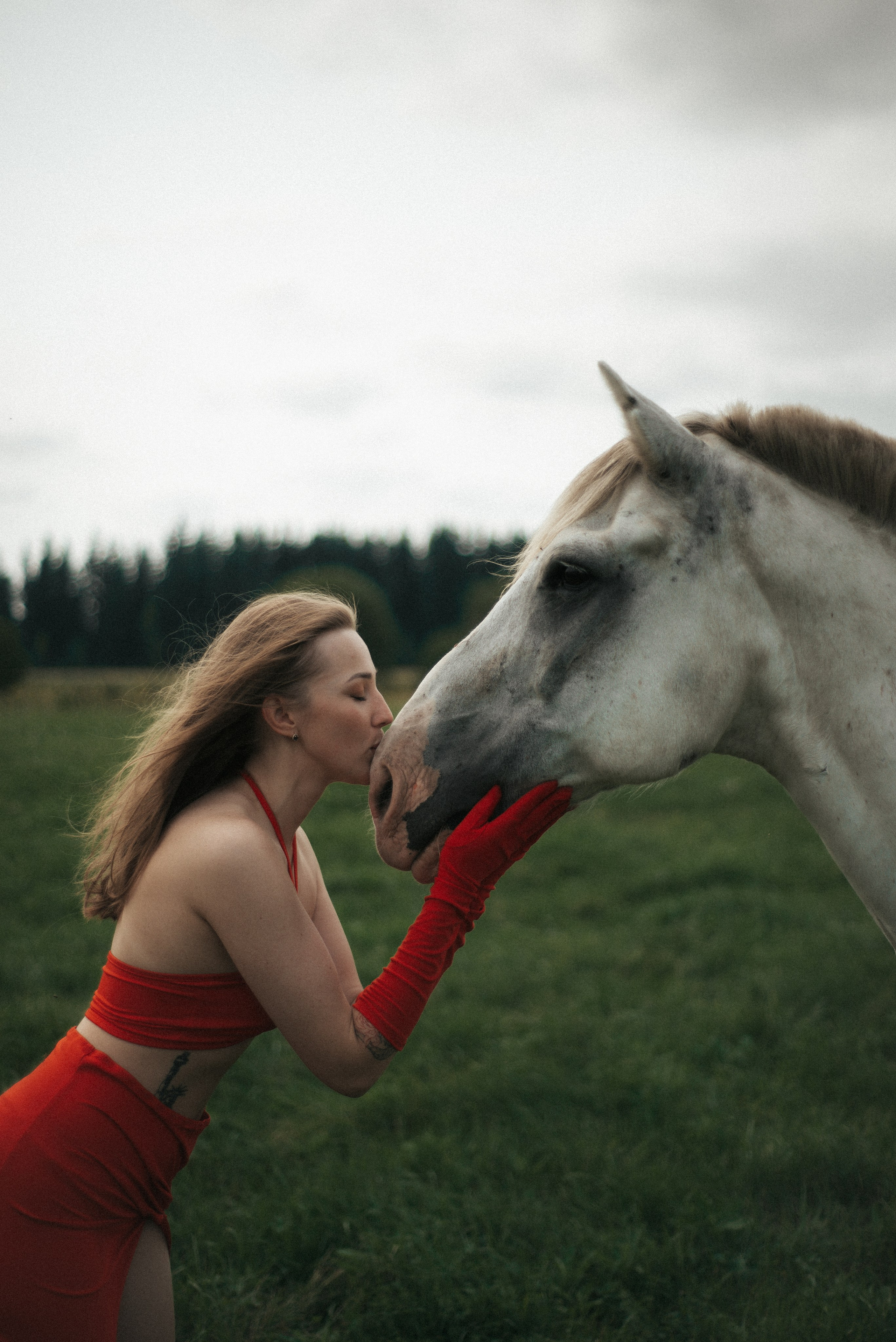 Horse. Фотограф