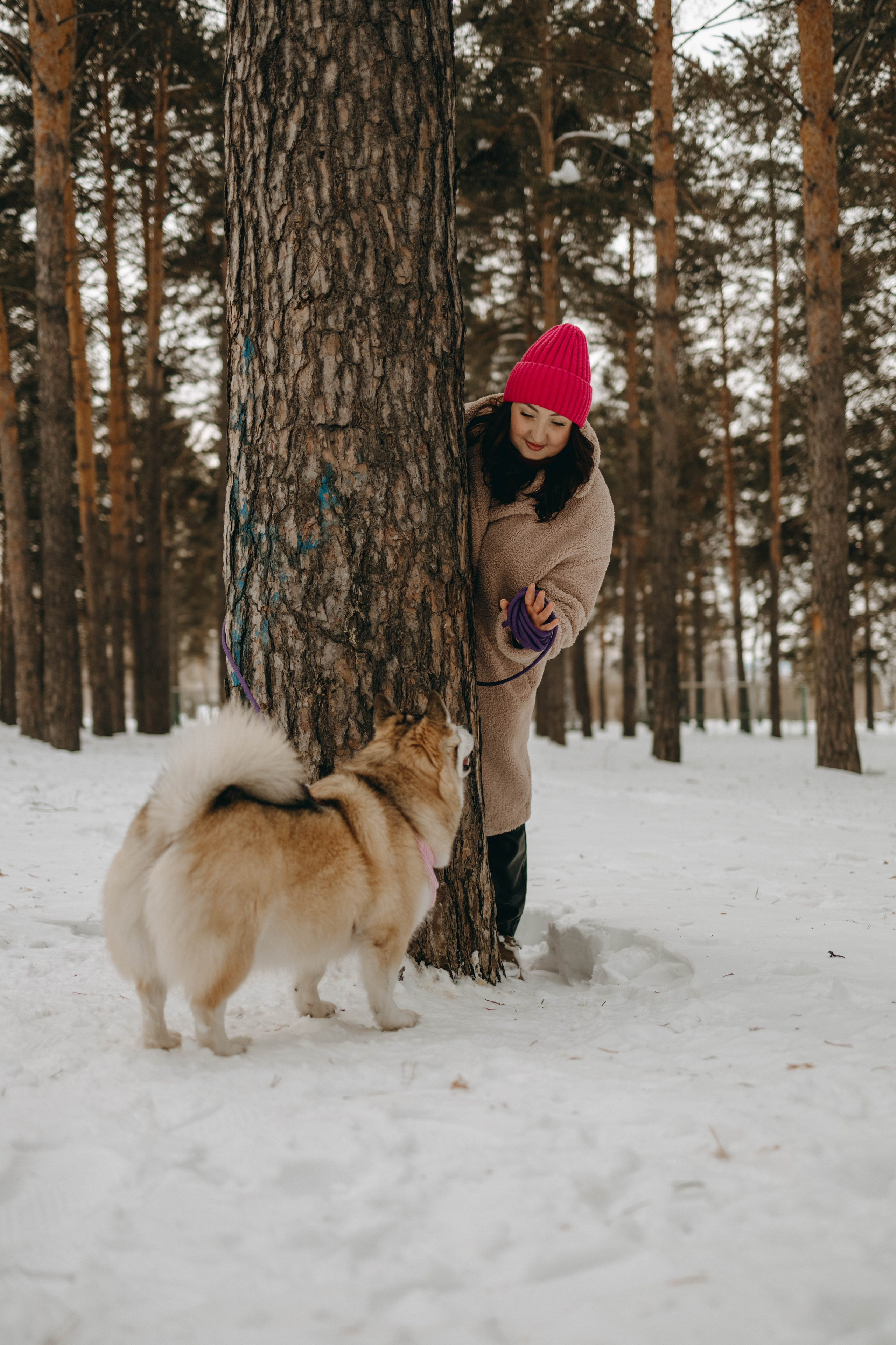 Варвара и Шелби. Фотограф-анималист в Екатеринбурге | Кристина