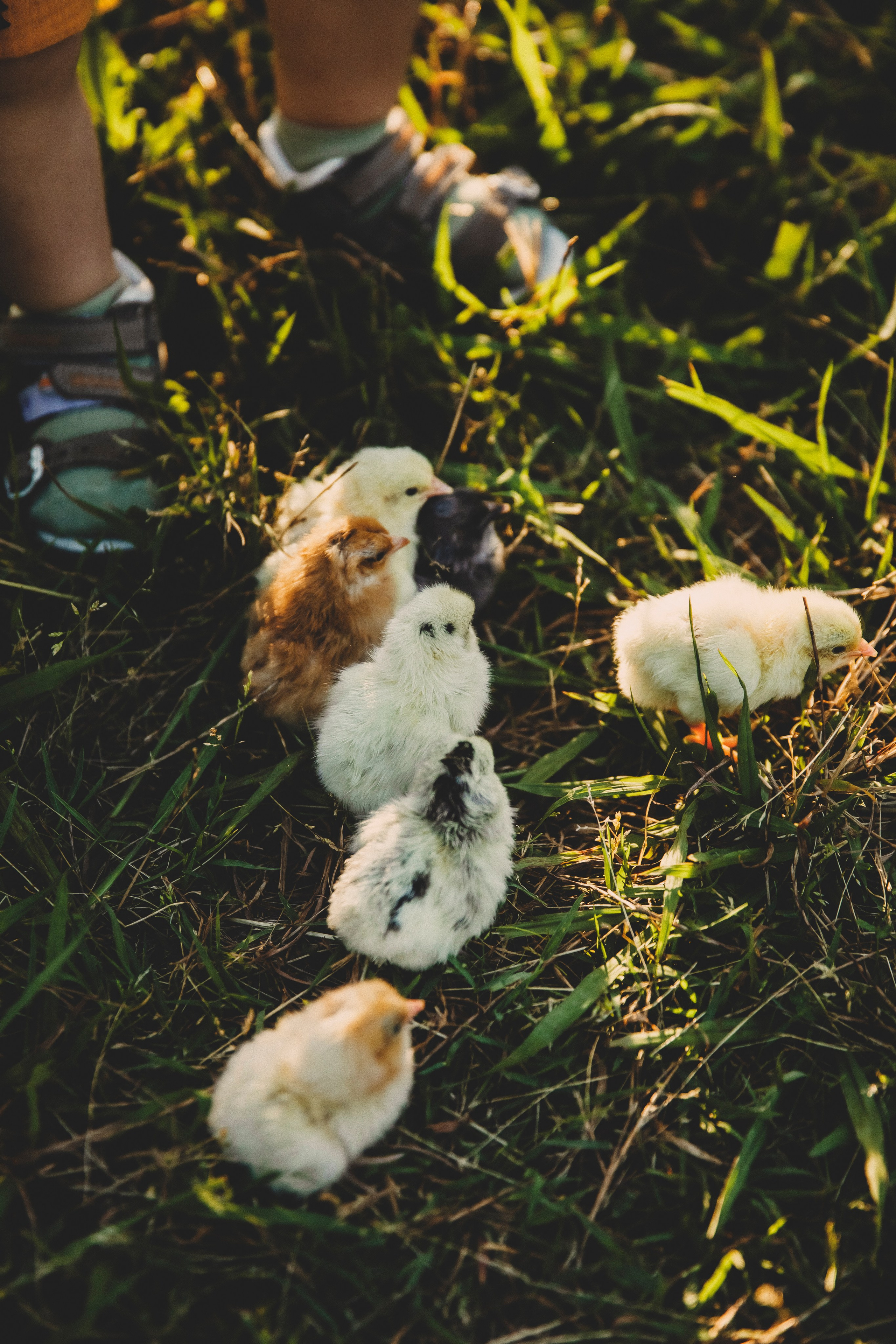 Валерия и Лёва. Свадебный и семейный фотограф Колоскова Мария (Сочи и весь мир)