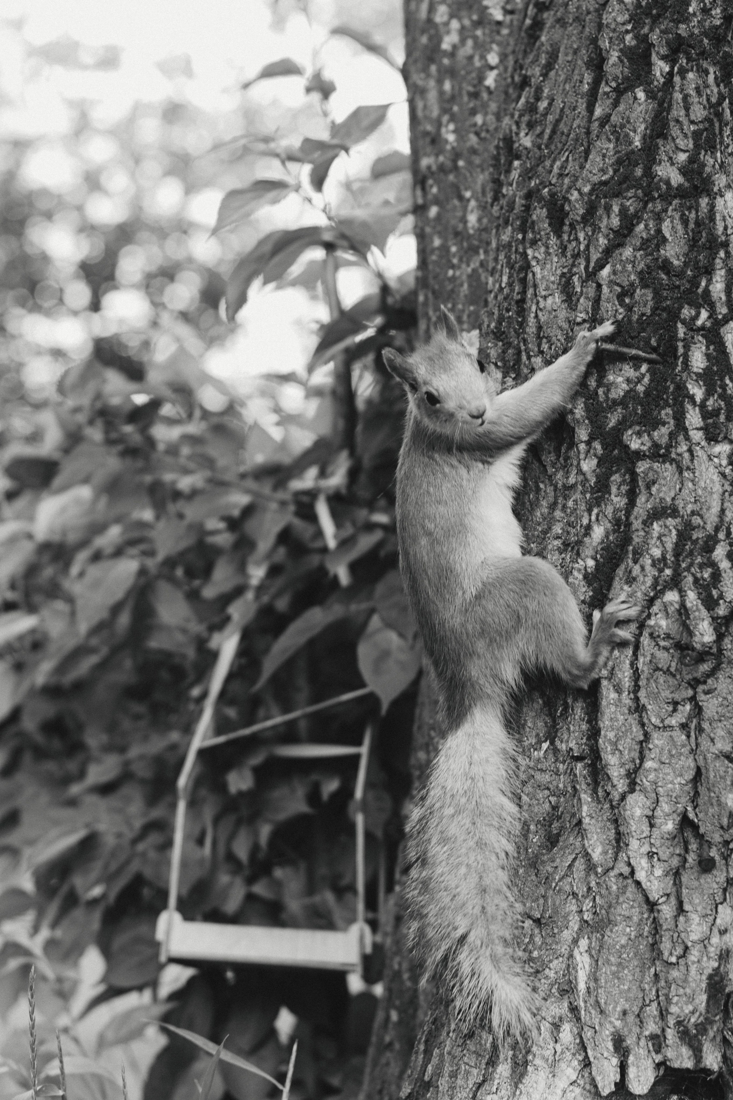 Alesya. Film Photographer in Da Nang, Vietnam — Tanya Parfenteva