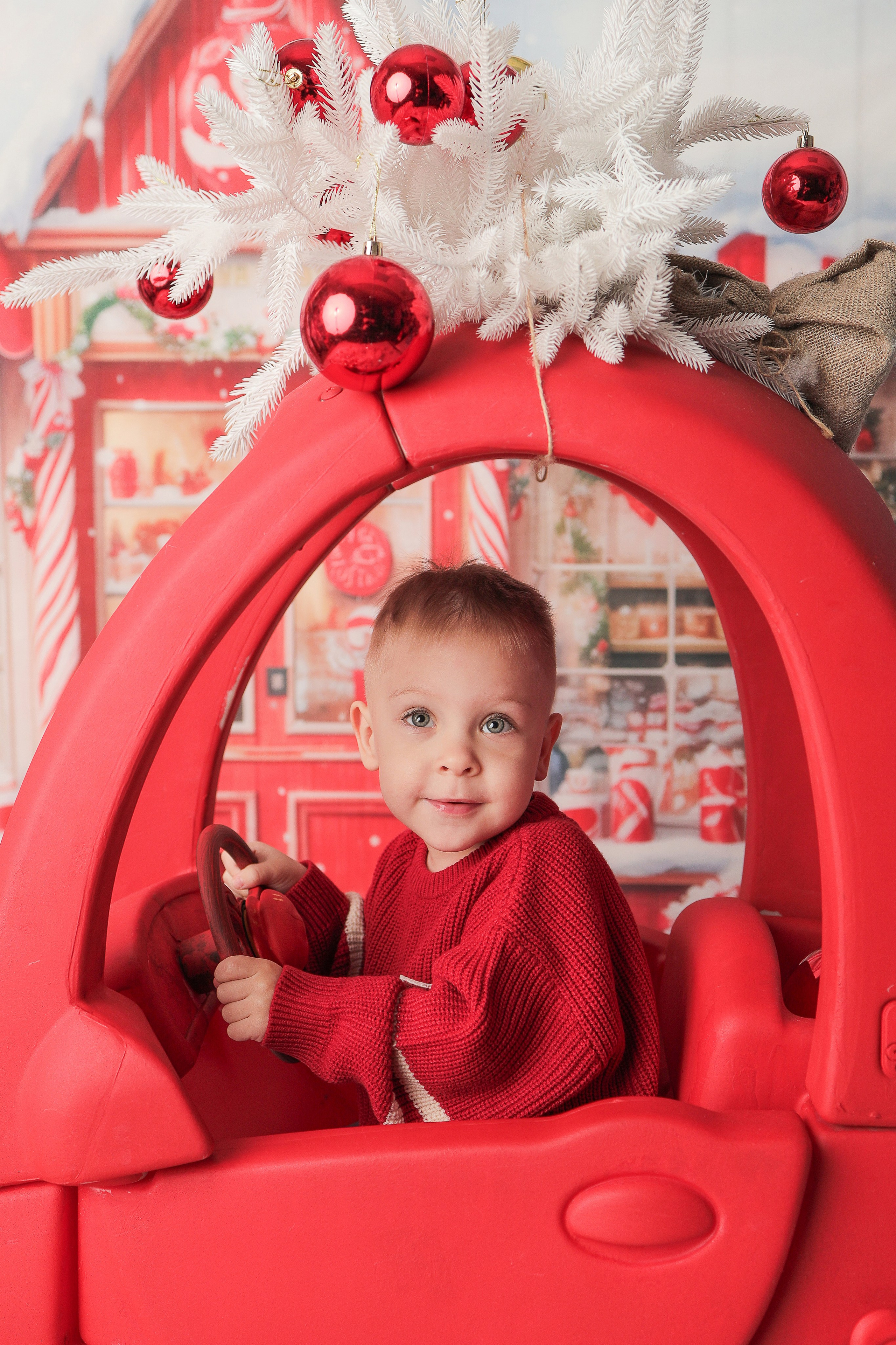 Ефим, 2 годика. Фотограф новорожденных в Новокузнецке Анна Горошникова