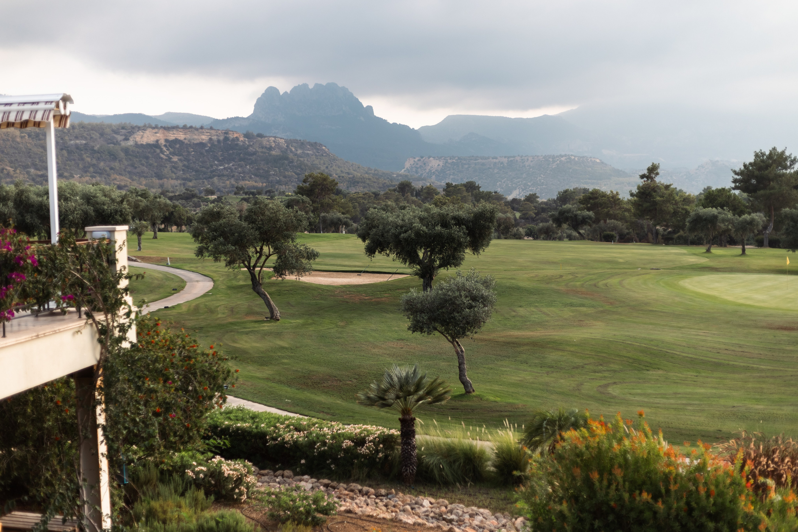 Денис. Семейный фотограф Израиль