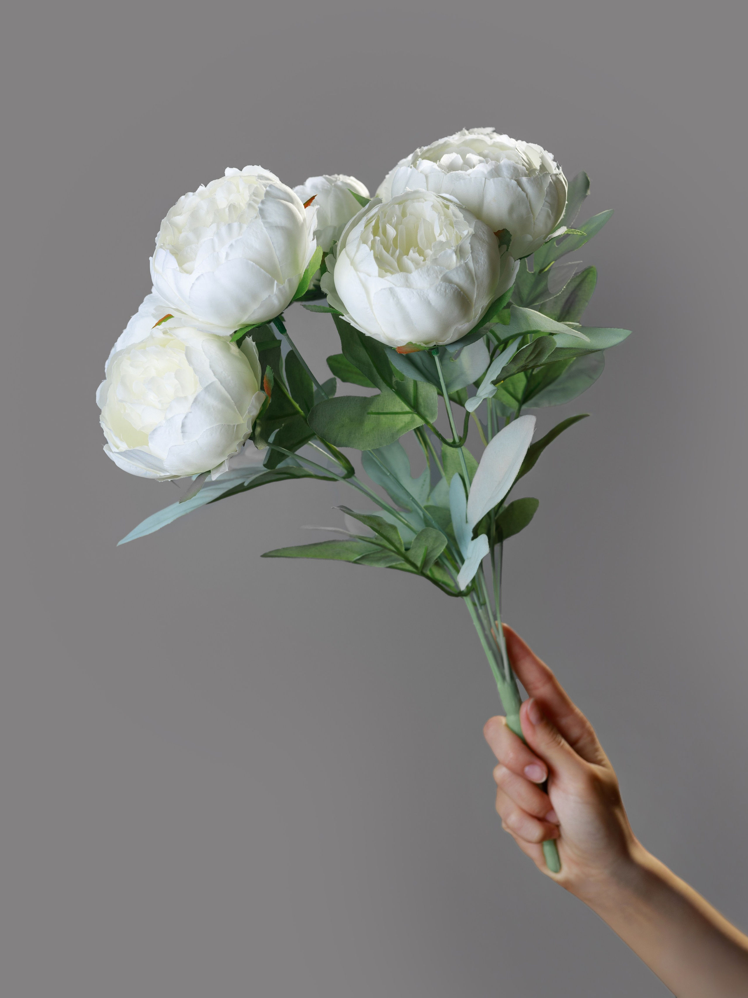 Пионы для OZON. СЕМЕЙНЫЙ И ПРЕДМЕТНЫЙ ФОТОГРАФ — ЛЕНА ГОНЧАР | КРАСНОДАР | МАЙКОП