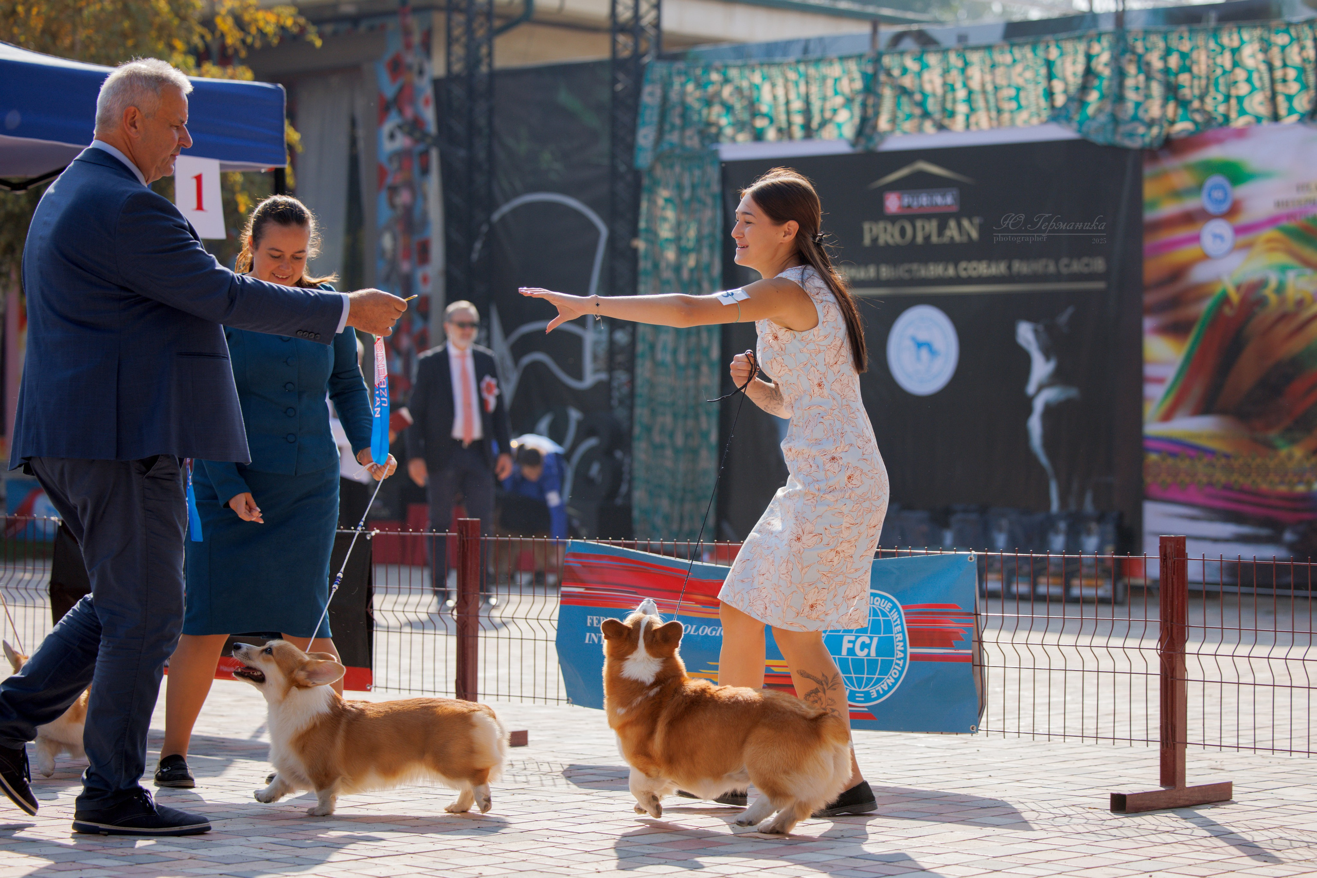 Ташкент 3хCACIB 3-5.10.2025. Фотограф-анималист Юлия Германика