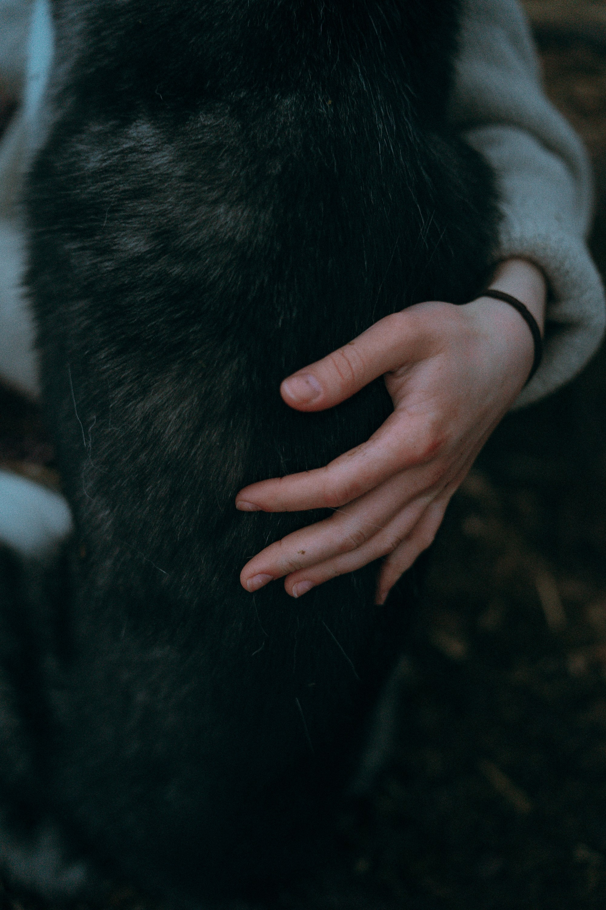 Наташа и Сириус. Фотограф анималист в Москве и Санкт-Петербурге Свиридова Анна