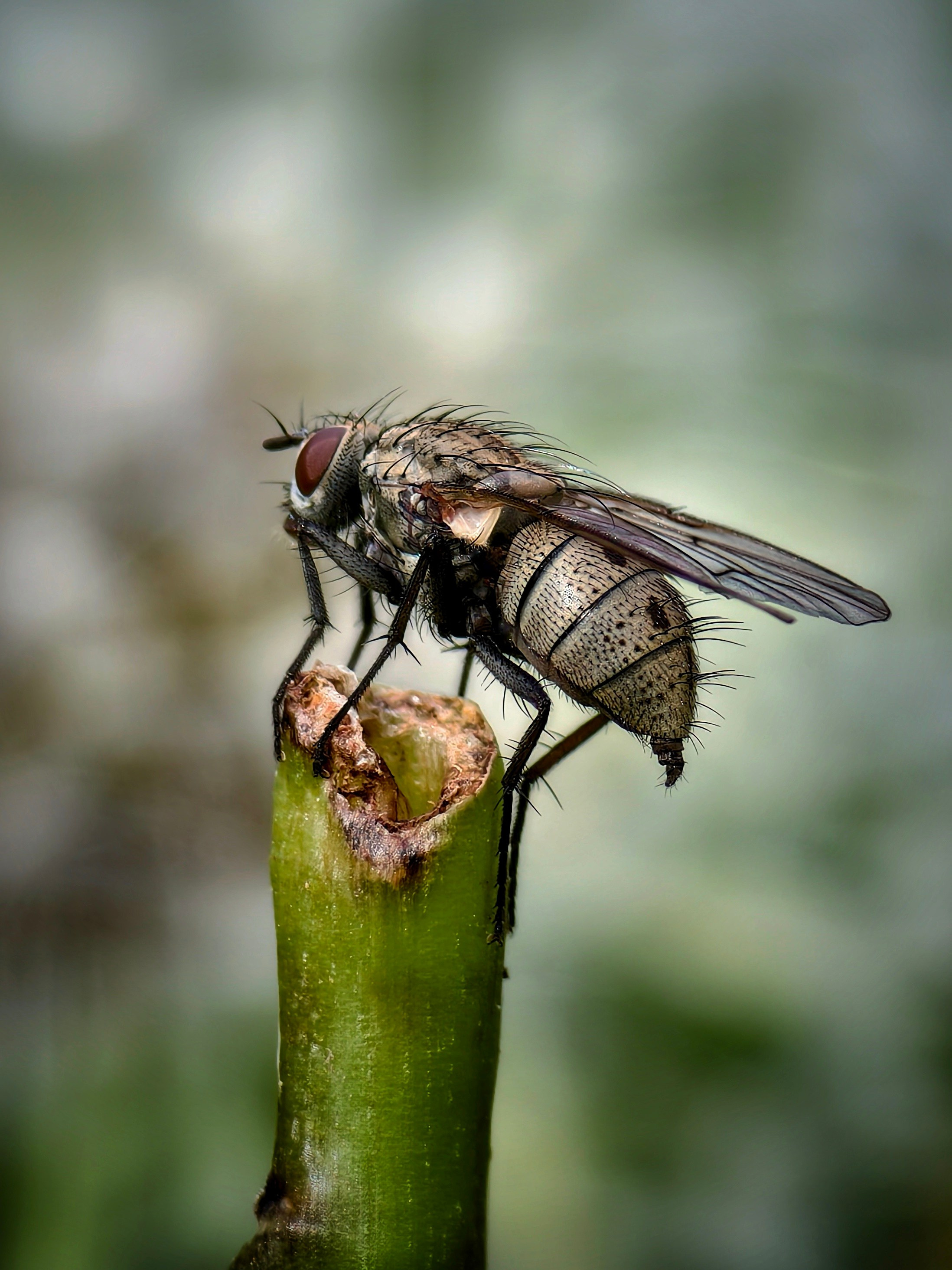 Большое в малом