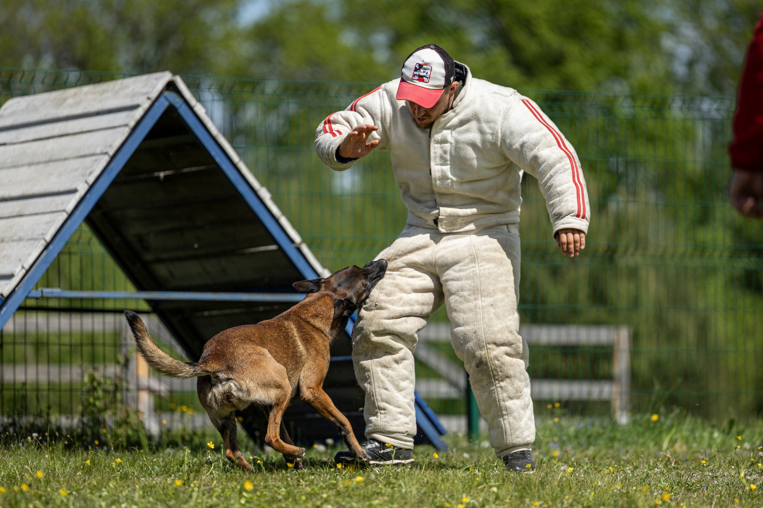 Испытания по мондьорингу в Нижнем Новгороде. Фотограф-анималист Анна Маринич